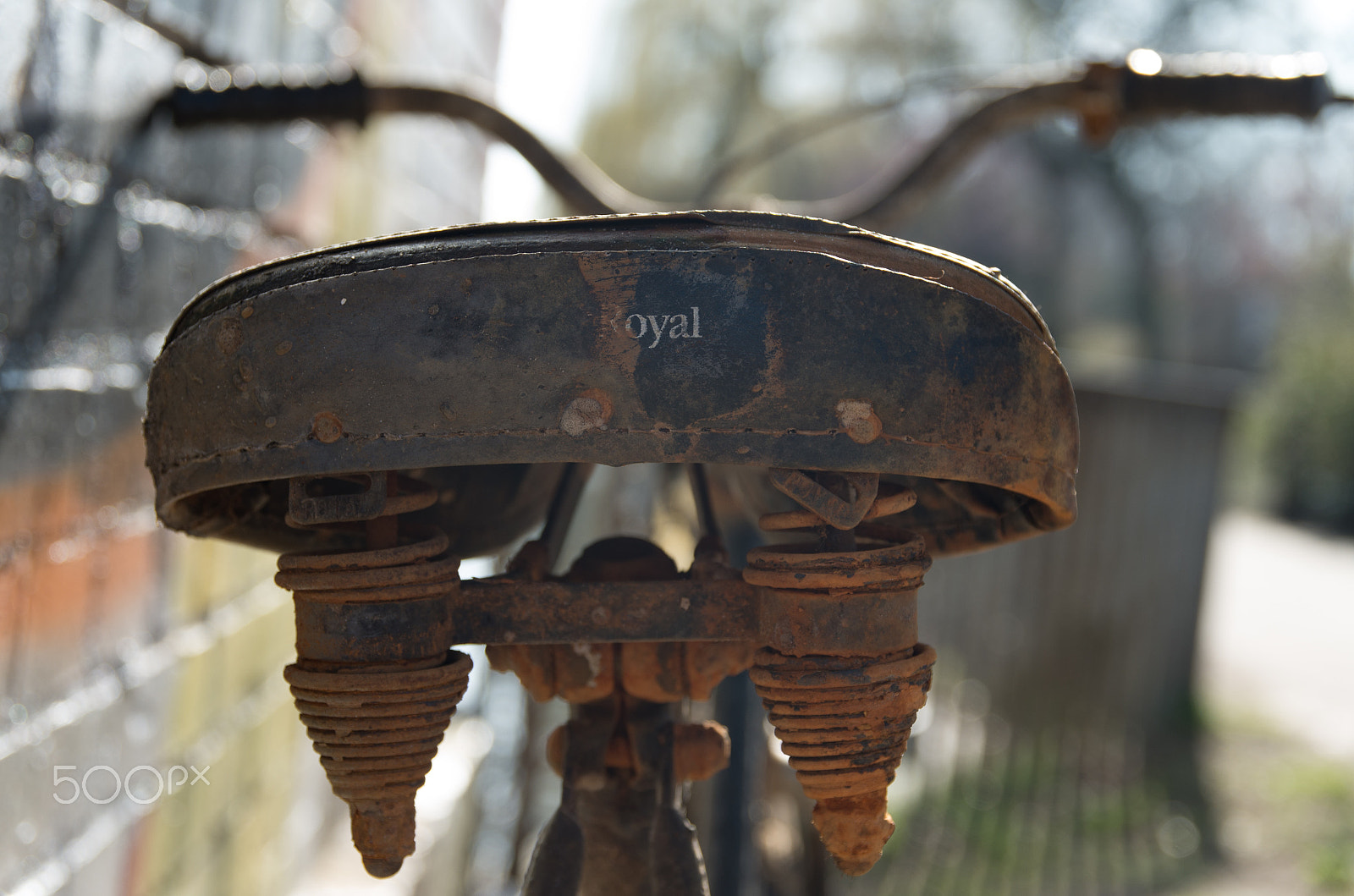 Sigma 17-70mm F2.8-4 DC Macro HSM | C sample photo