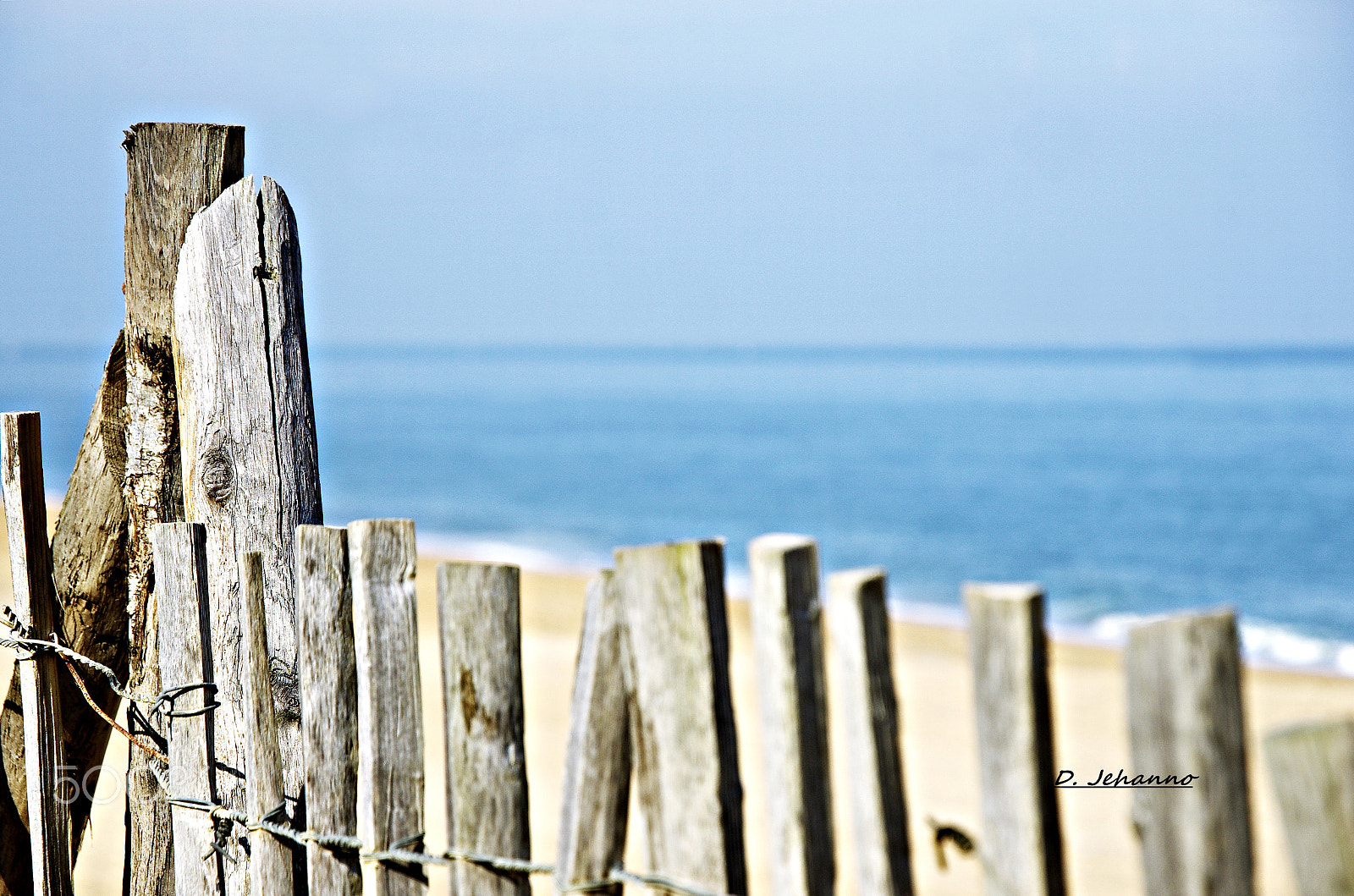Pentax K-5 sample photo. Feel the heat of the sun... photography