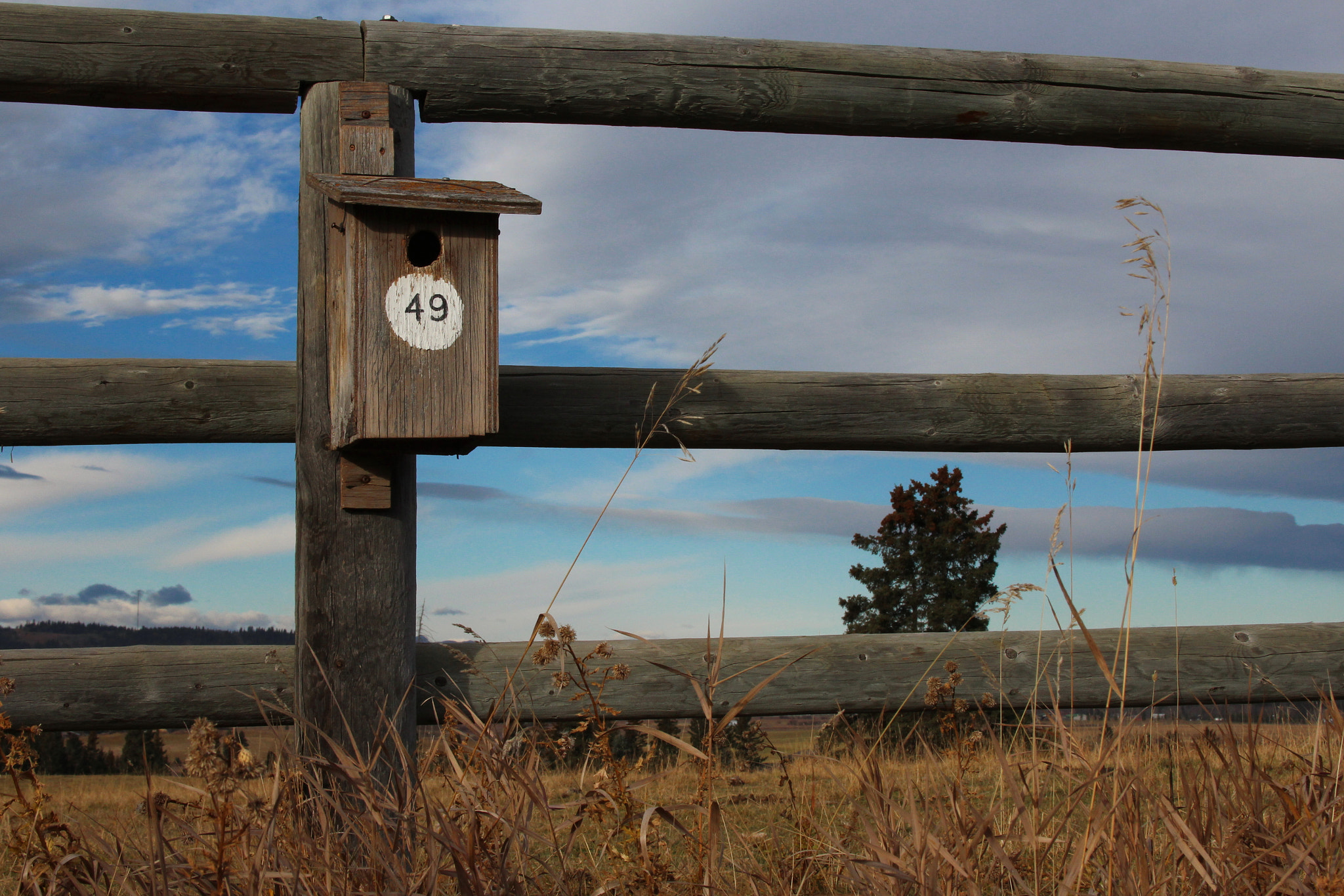 Canon EF 28-135mm F3.5-5.6 IS USM sample photo. Home sweet home photography