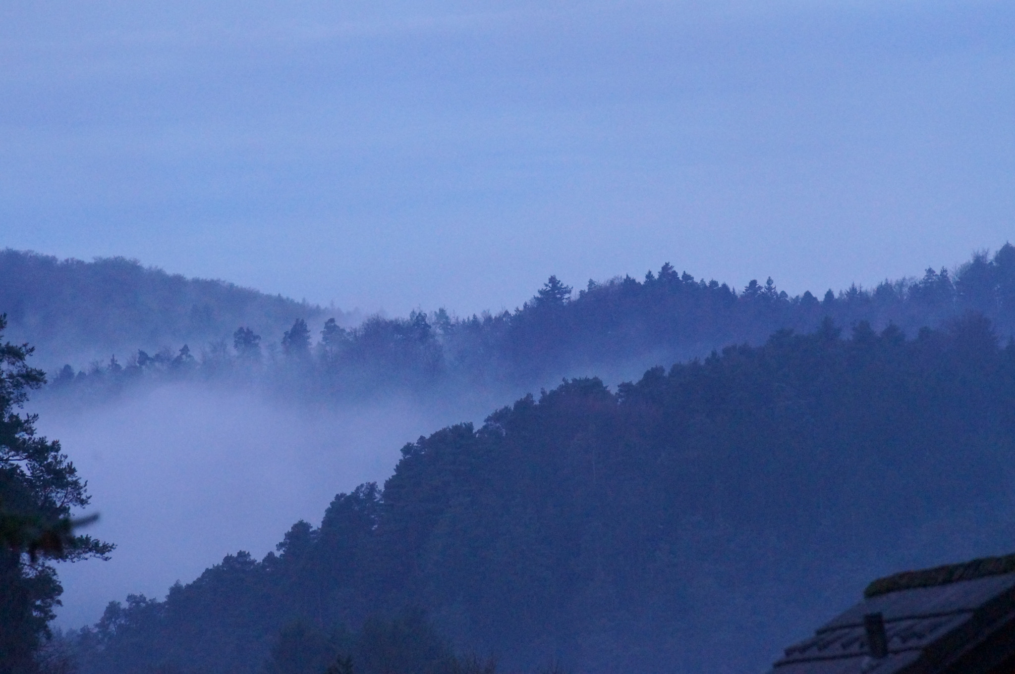 Sony SLT-A37 sample photo. Foggy photography