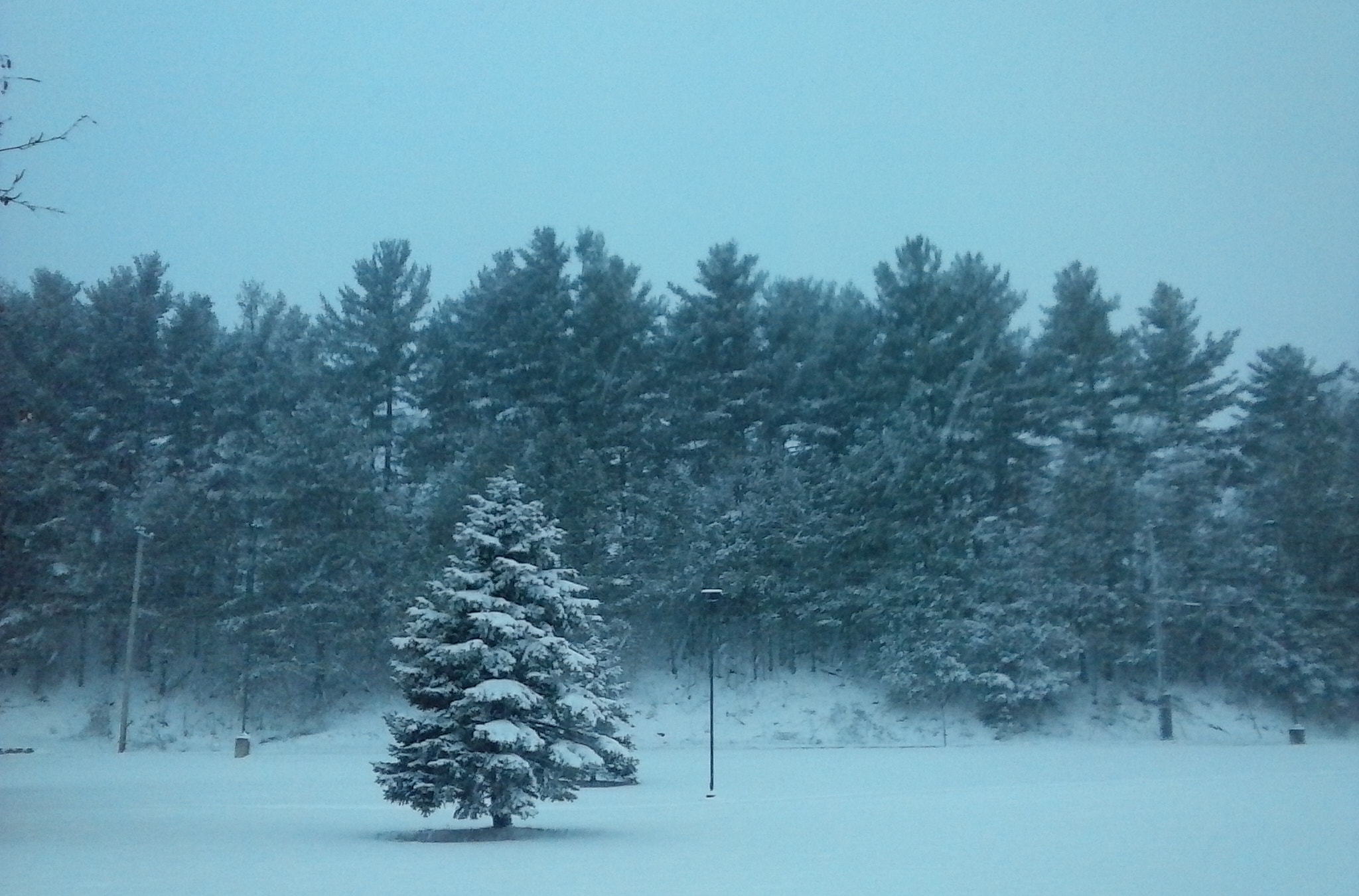 LG Optimus Fuel sample photo. Winter wonderland photography