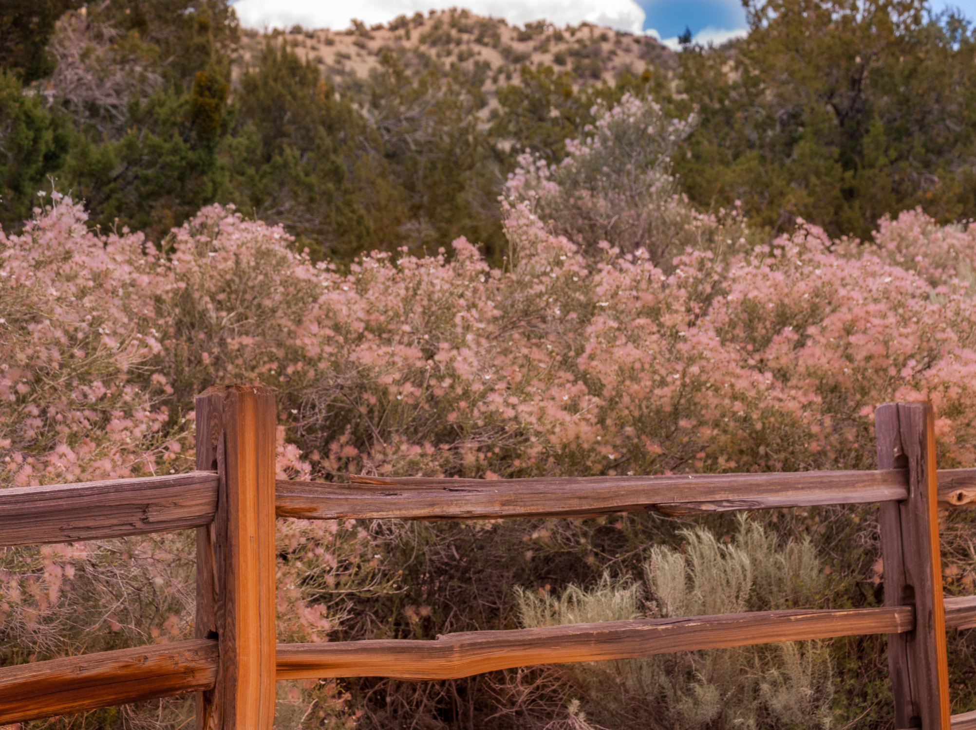Nikon D80 sample photo. Split rail fence photography