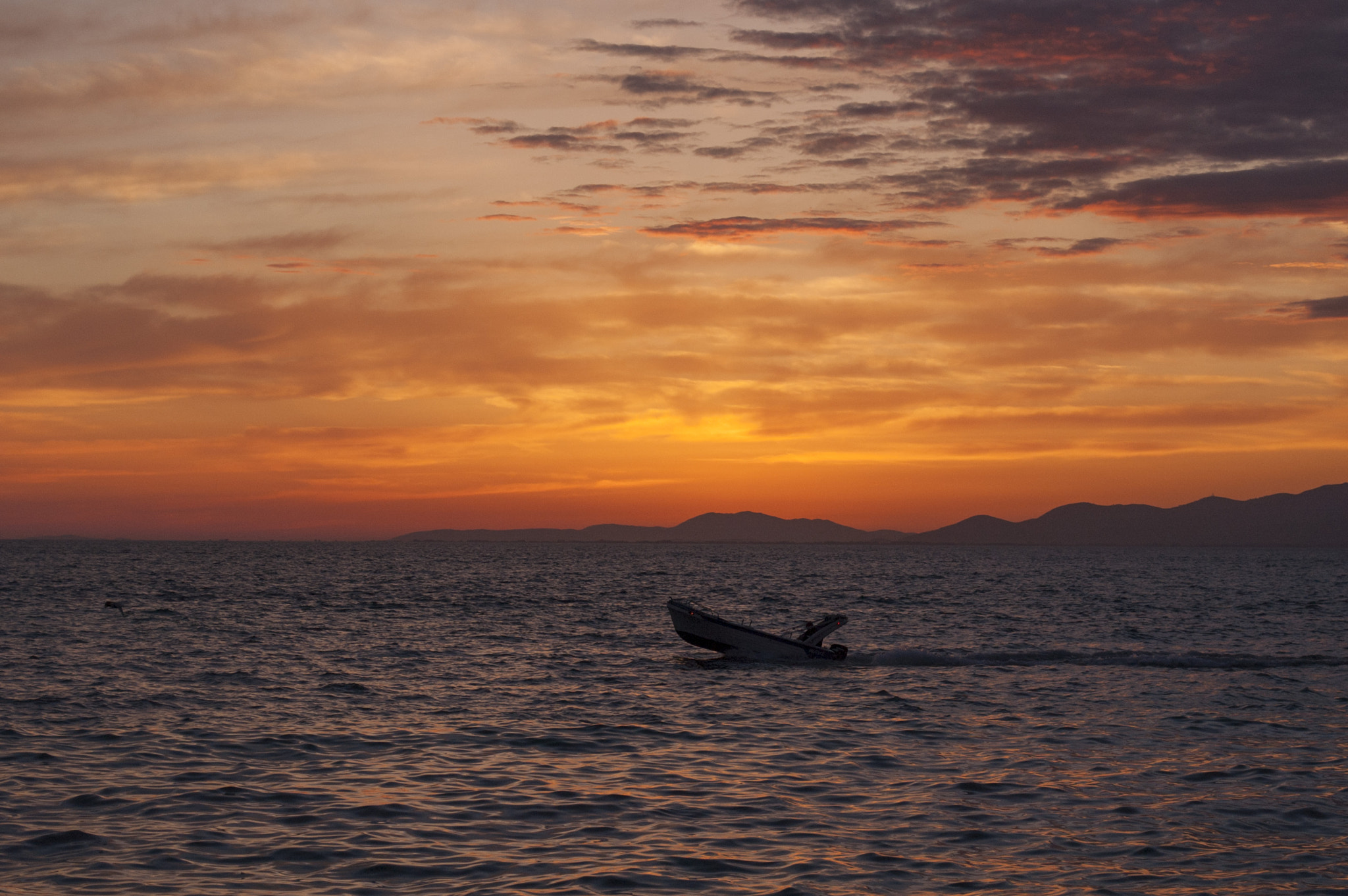 Nikon D70 sample photo. Speedboat at dusk photography