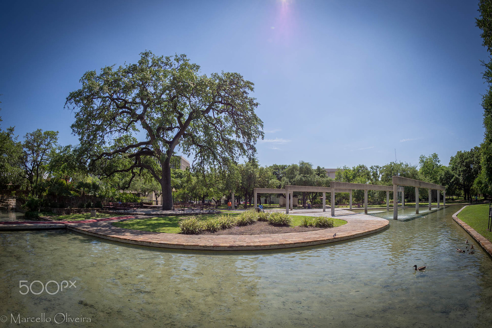 Olympus OM-D E-M5 + OLYMPUS M.8mm F1.8 sample photo. Hemisfair park photography