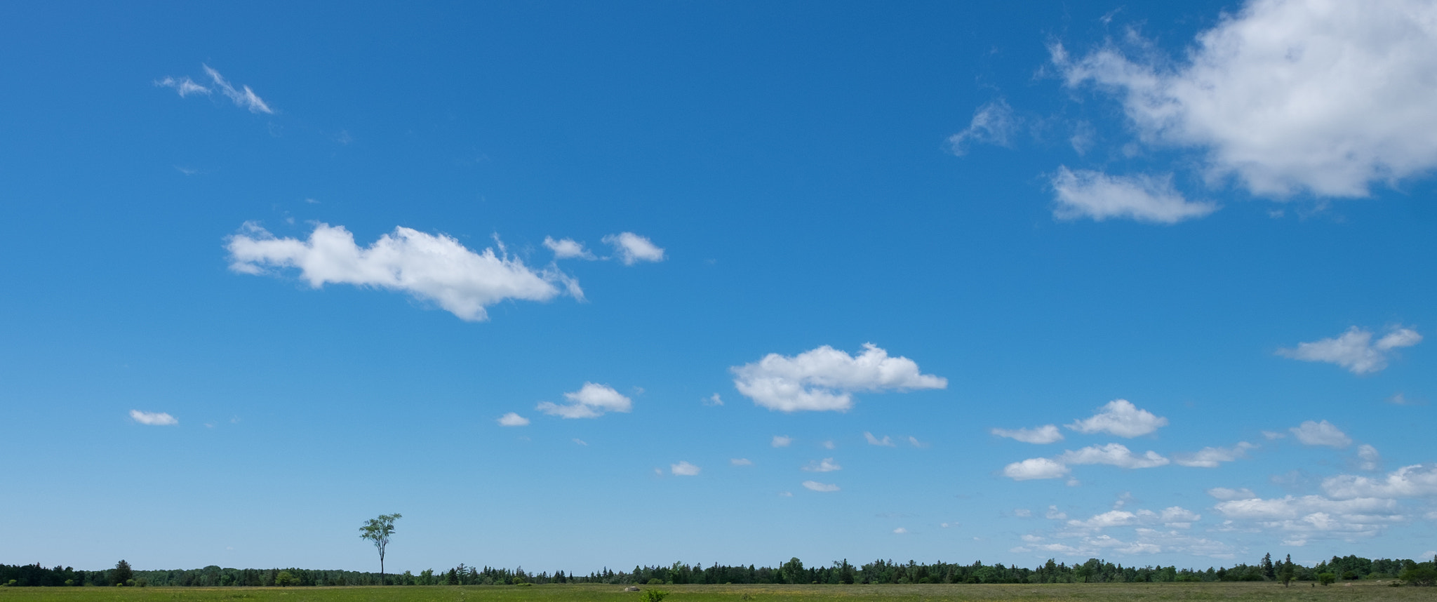 Fujifilm XF 16-55mm F2.8 R LM WR sample photo. Plain photography