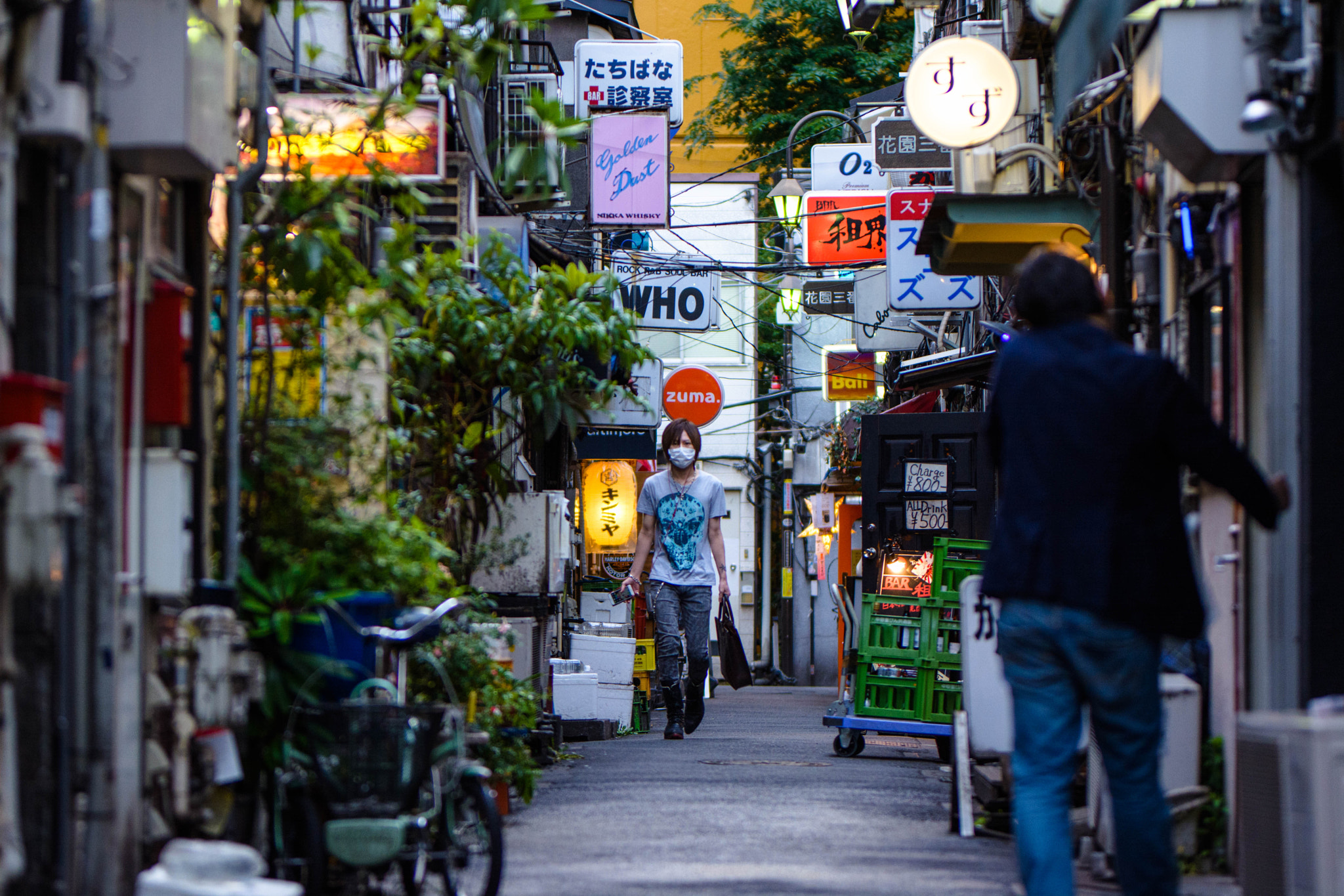 Nikon D5200 + Sigma 105mm F2.8 EX DG Macro sample photo. Tokyo photography