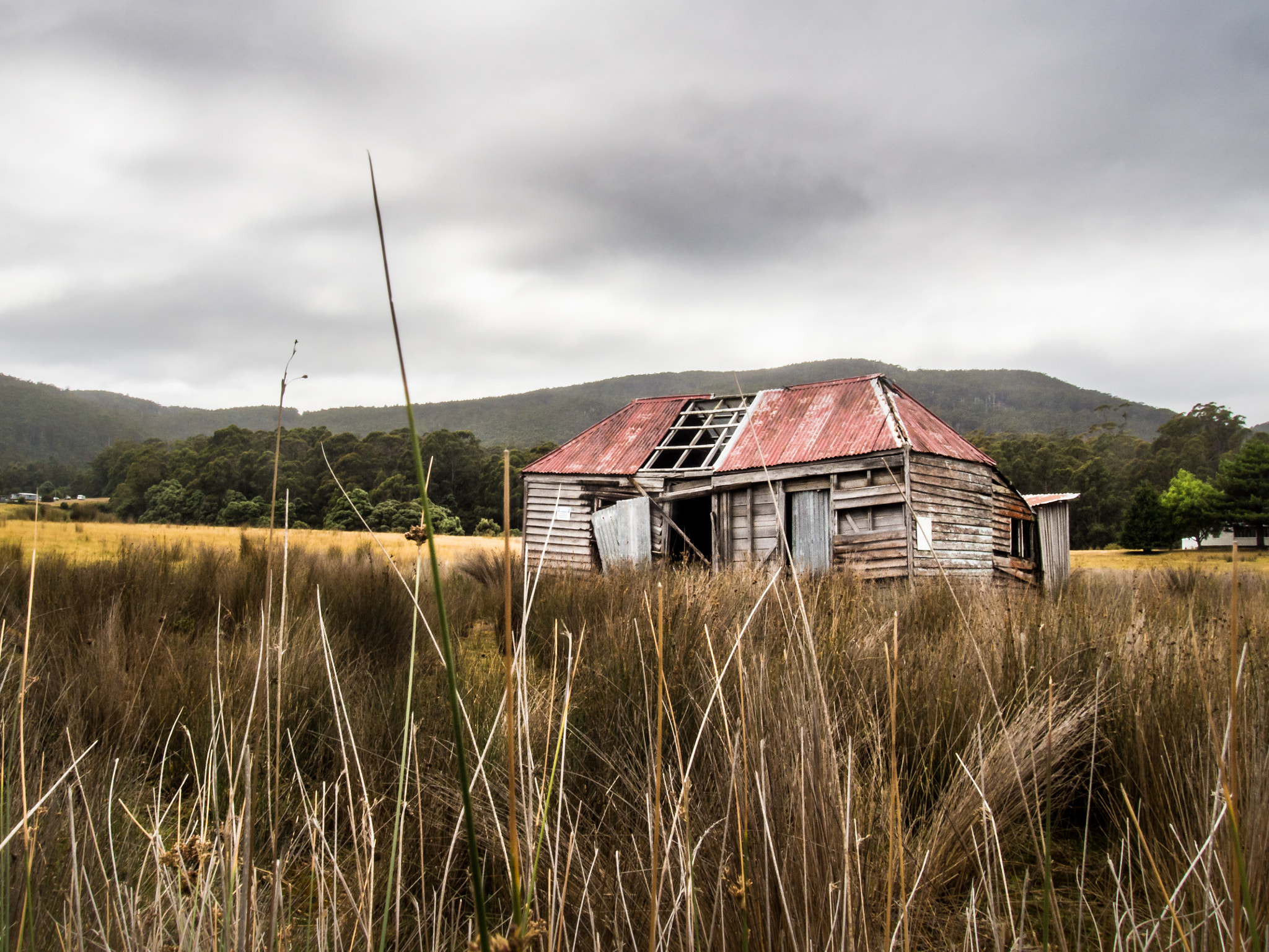 Olympus PEN E-P5 sample photo. Tasmanian country photography