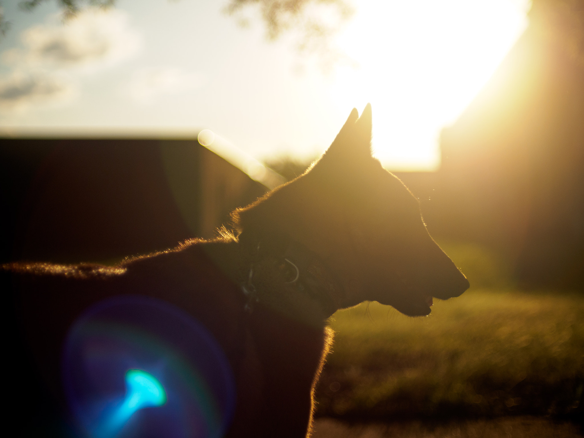 Olympus OM-D E-M10 II sample photo. Ryn photography