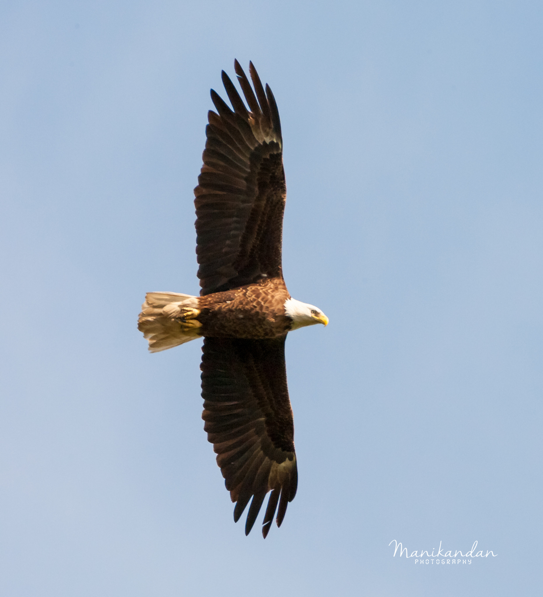 Canon EOS-1D Mark III sample photo. Full stretch photography