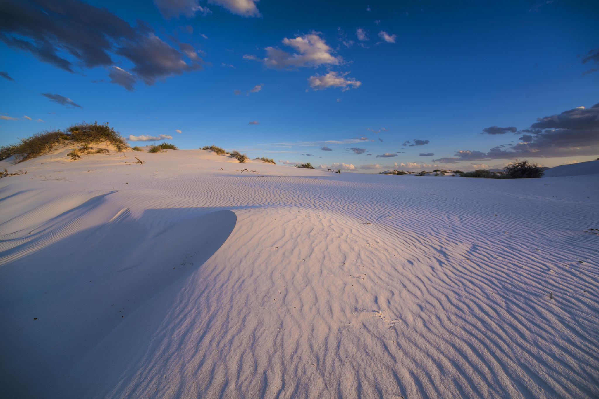 Nikon D810 + Nikon AF Nikkor 14mm F2.8D ED sample photo. White dunes photography