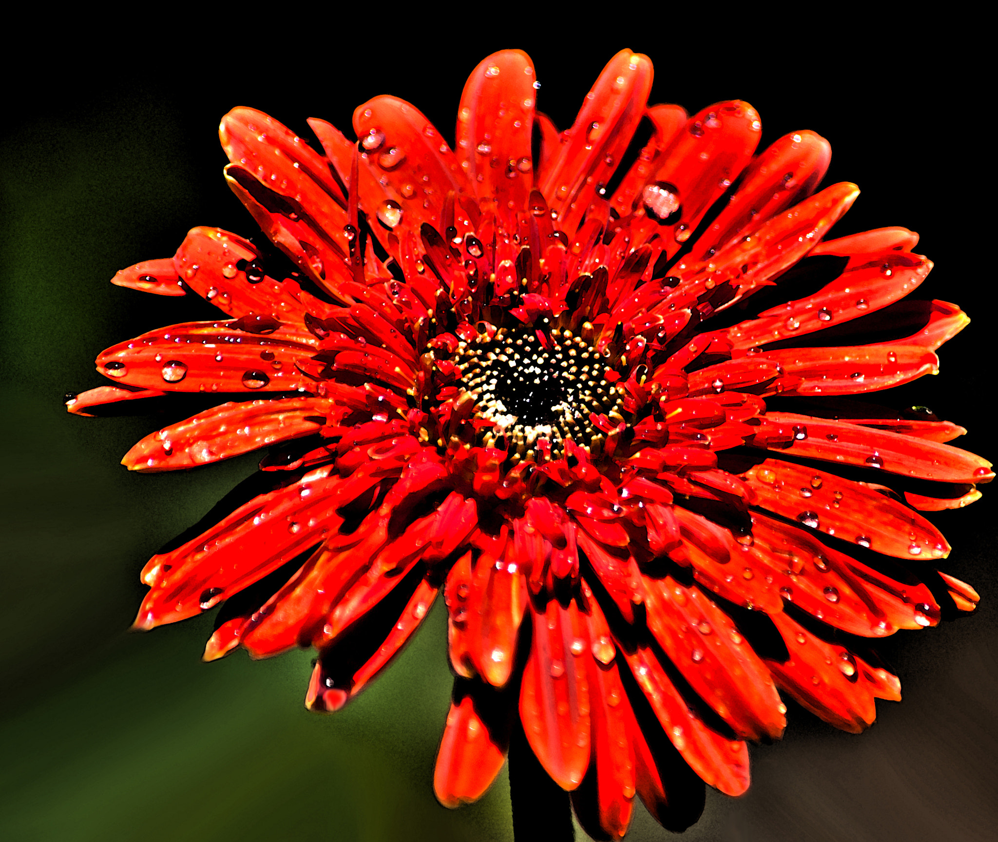 Nikon D80 sample photo. Water color photography