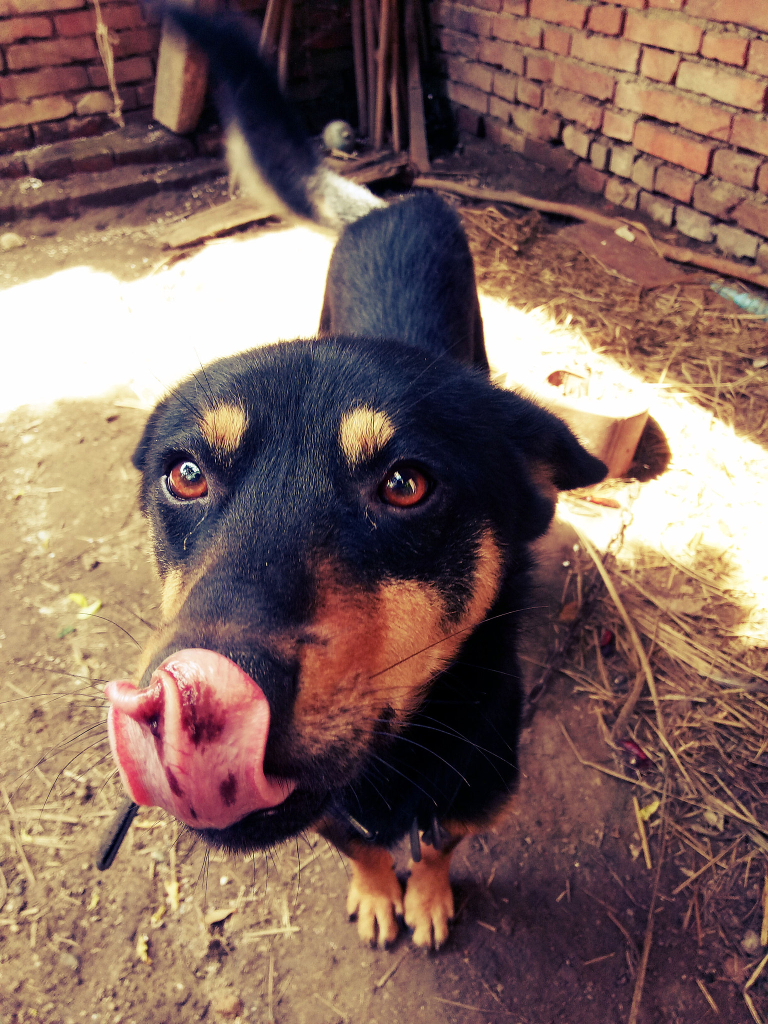 OPPO A37M sample photo