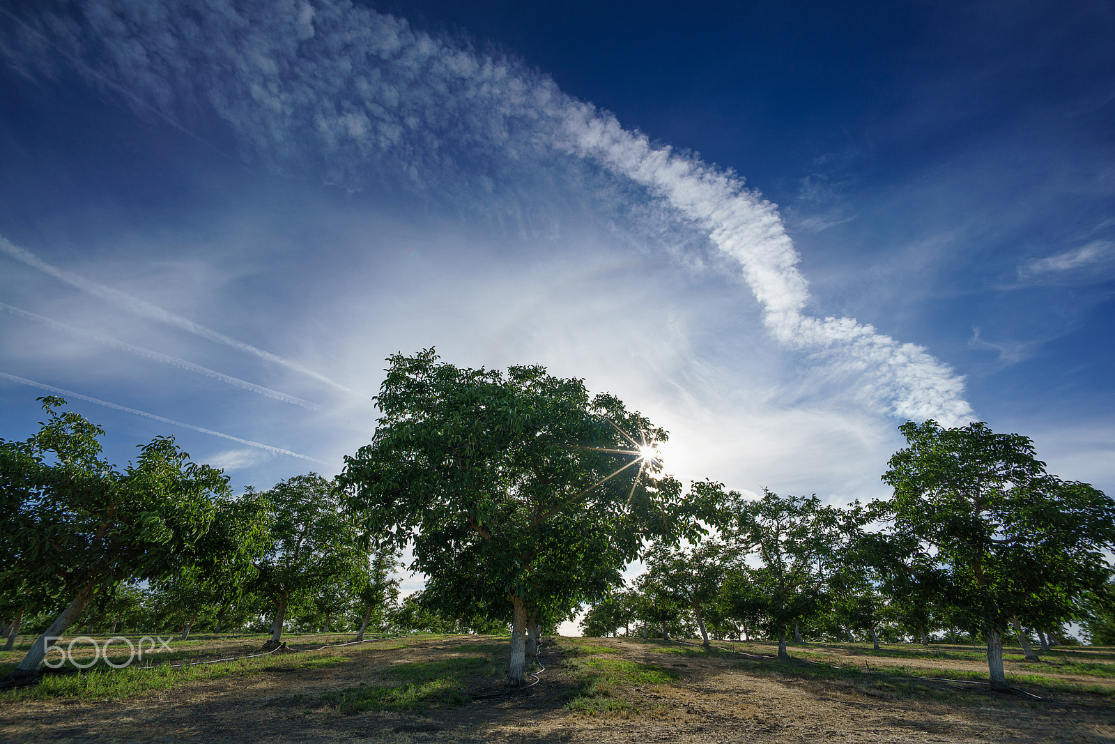 Sony a7R II + Voigtlander SUPER WIDE-HELIAR 15mm F4.5 III sample photo. North paso robles photography