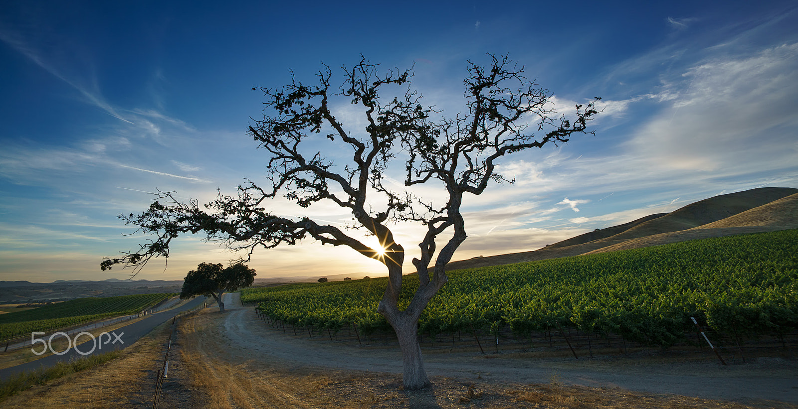 Sony a7R II + Voigtlander SUPER WIDE-HELIAR 15mm F4.5 III sample photo. North paso robles photography