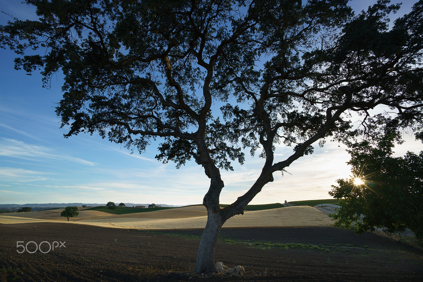 Sony a7R II + Voigtlander SUPER WIDE-HELIAR 15mm F4.5 III sample photo. North paso robles photography