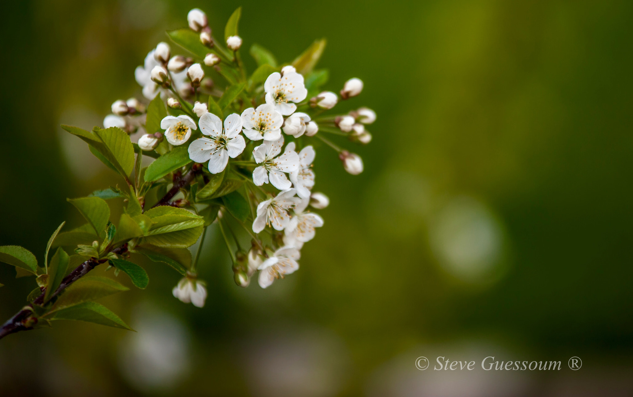 Sigma 70-200mm F2.8 EX DG OS HSM sample photo