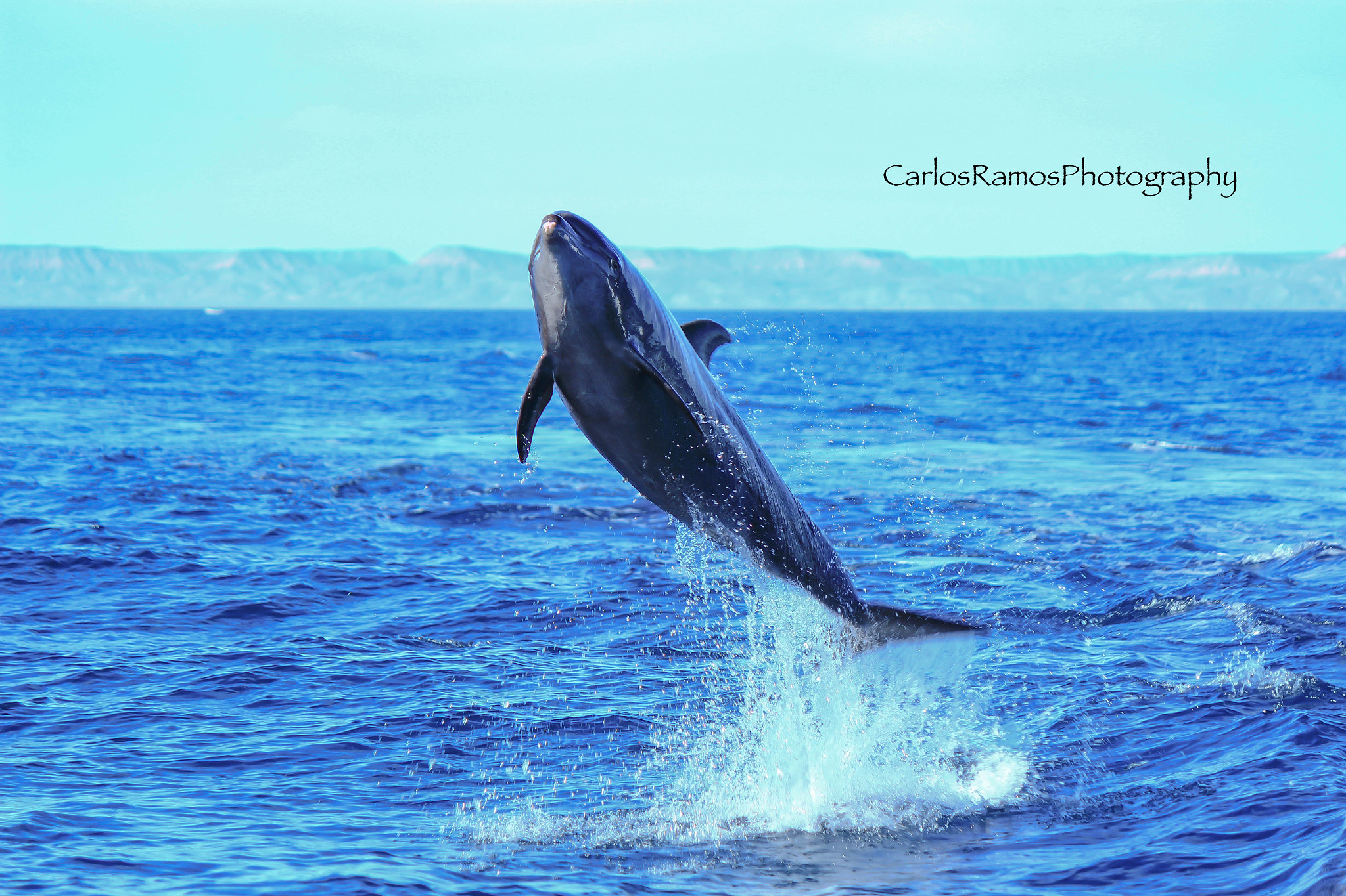 Canon EOS 600D (Rebel EOS T3i / EOS Kiss X5) sample photo. Water jumps photography