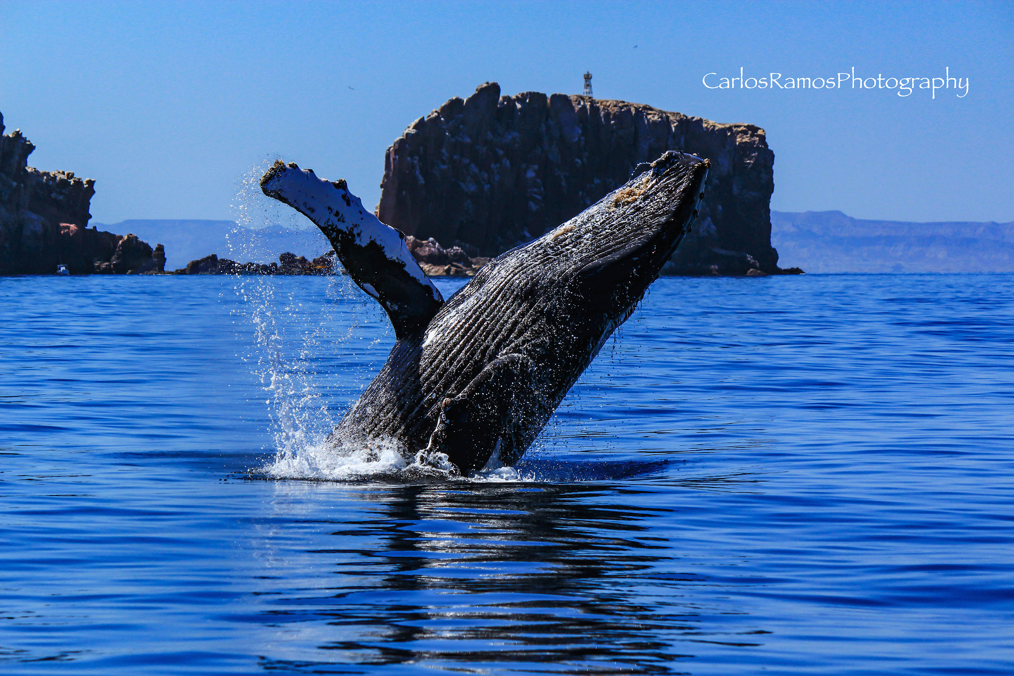 Canon EOS 600D (Rebel EOS T3i / EOS Kiss X5) sample photo. Water jumps photography