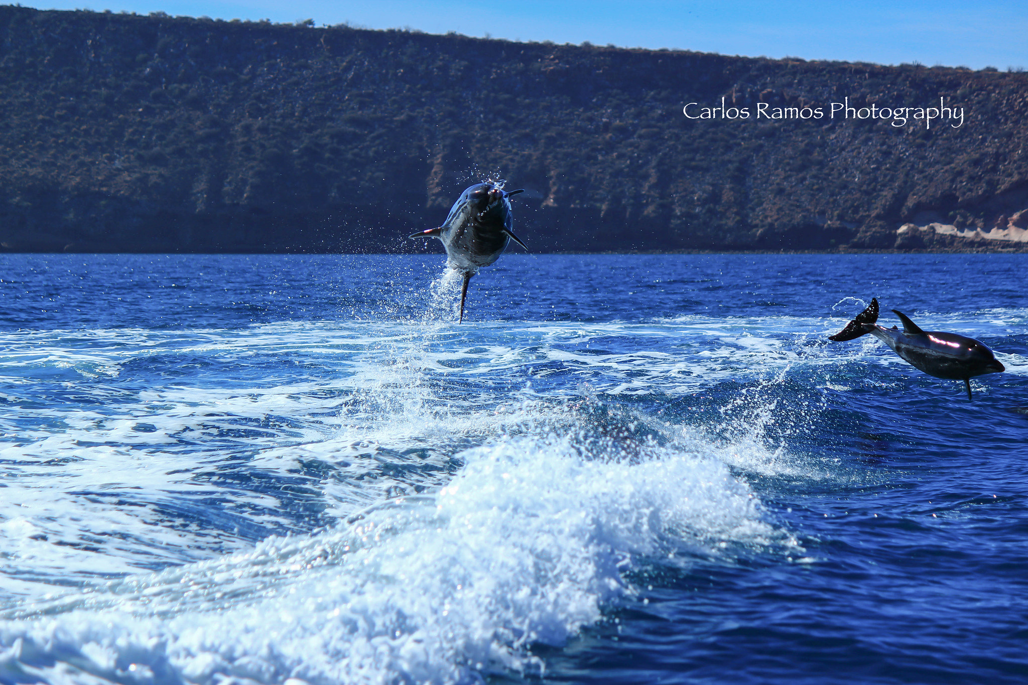 Canon EOS 600D (Rebel EOS T3i / EOS Kiss X5) sample photo. Water jumps photography