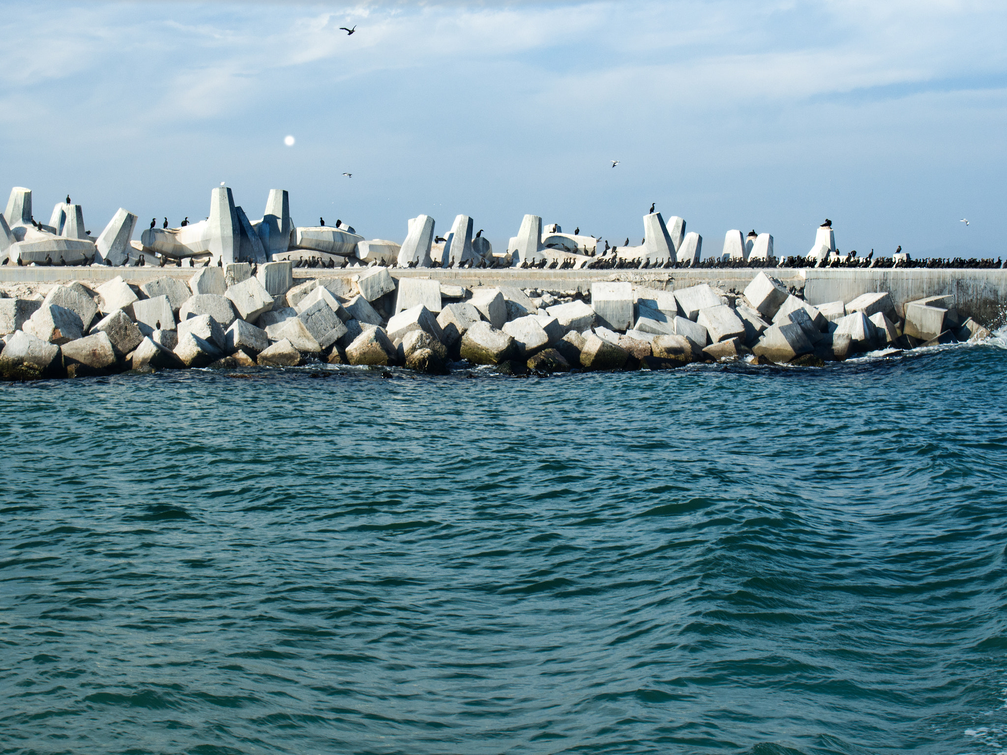Olympus PEN E-P5 sample photo. Robben island photography