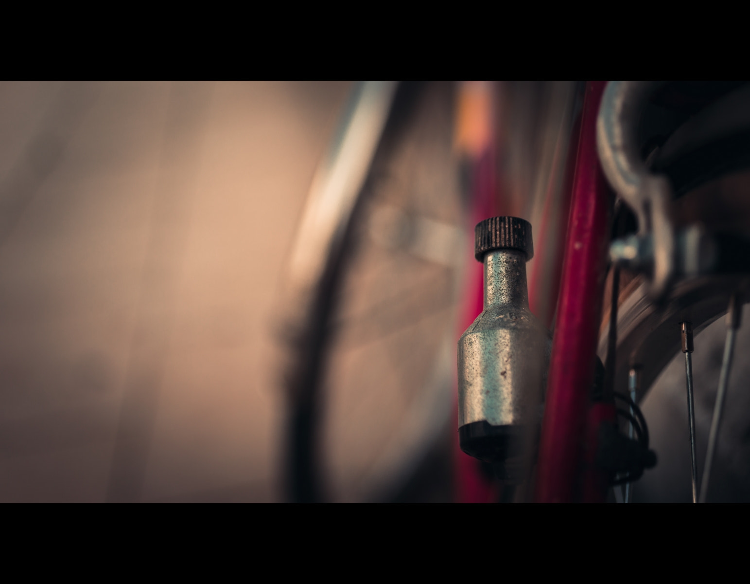 Canon EOS 6D + Canon EF 50mm F2.5 Macro sample photo. Power dust photography