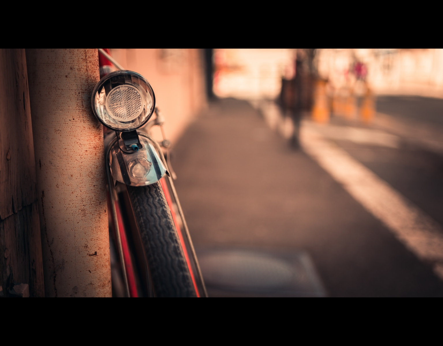 Canon EOS 6D + Canon EF 50mm F2.5 Macro sample photo. Get on the wall photography
