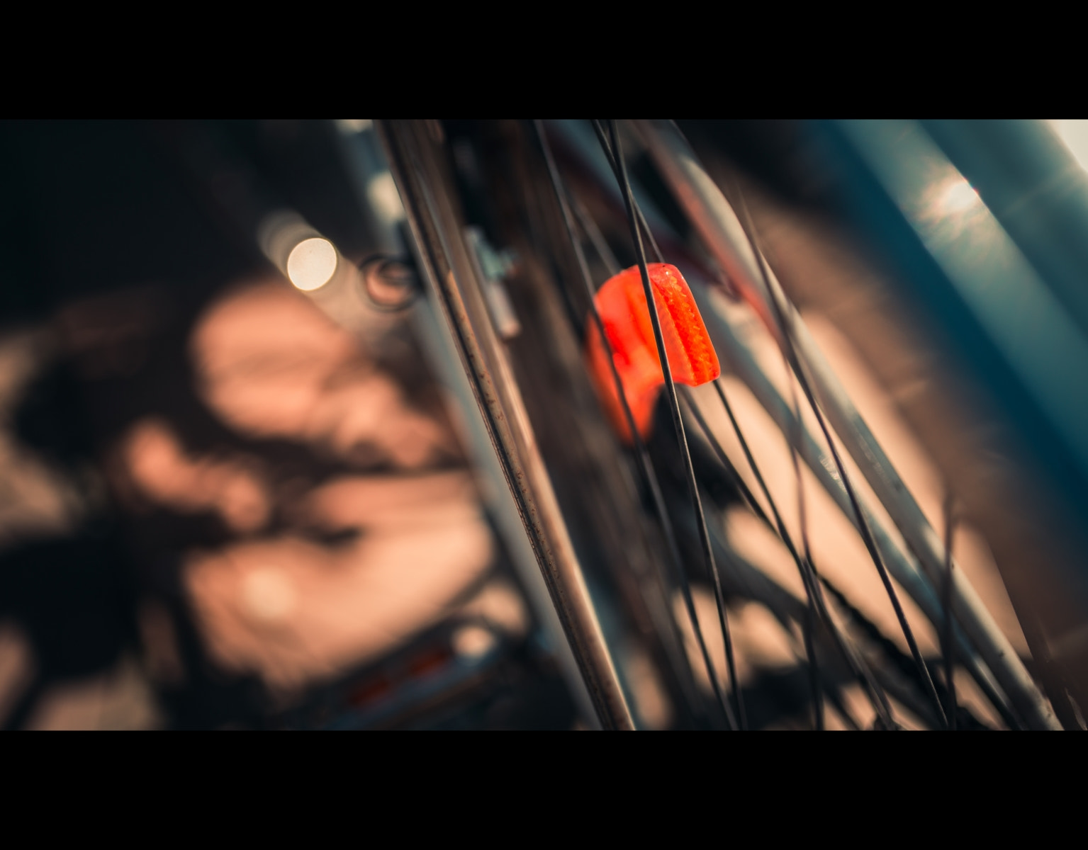 Canon EOS 6D + Canon EF 50mm F2.5 Macro sample photo. A slice of orange photography