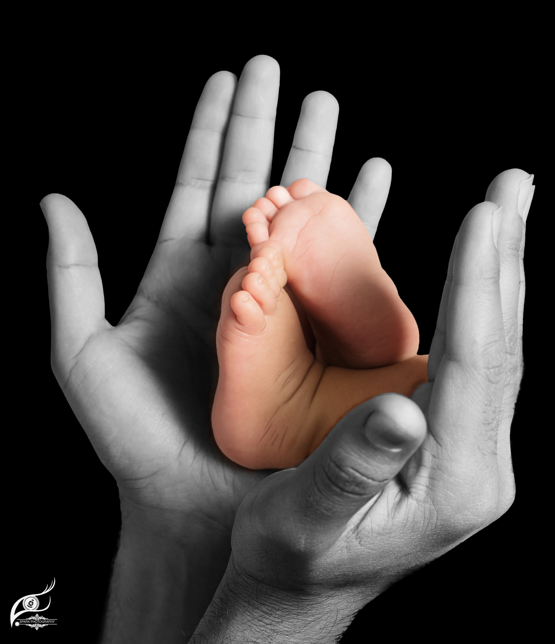 Canon EOS 5DS R + Canon EF 50mm F1.4 USM sample photo. Newborn feet inside a his dad or mom hand isolated on black background photography