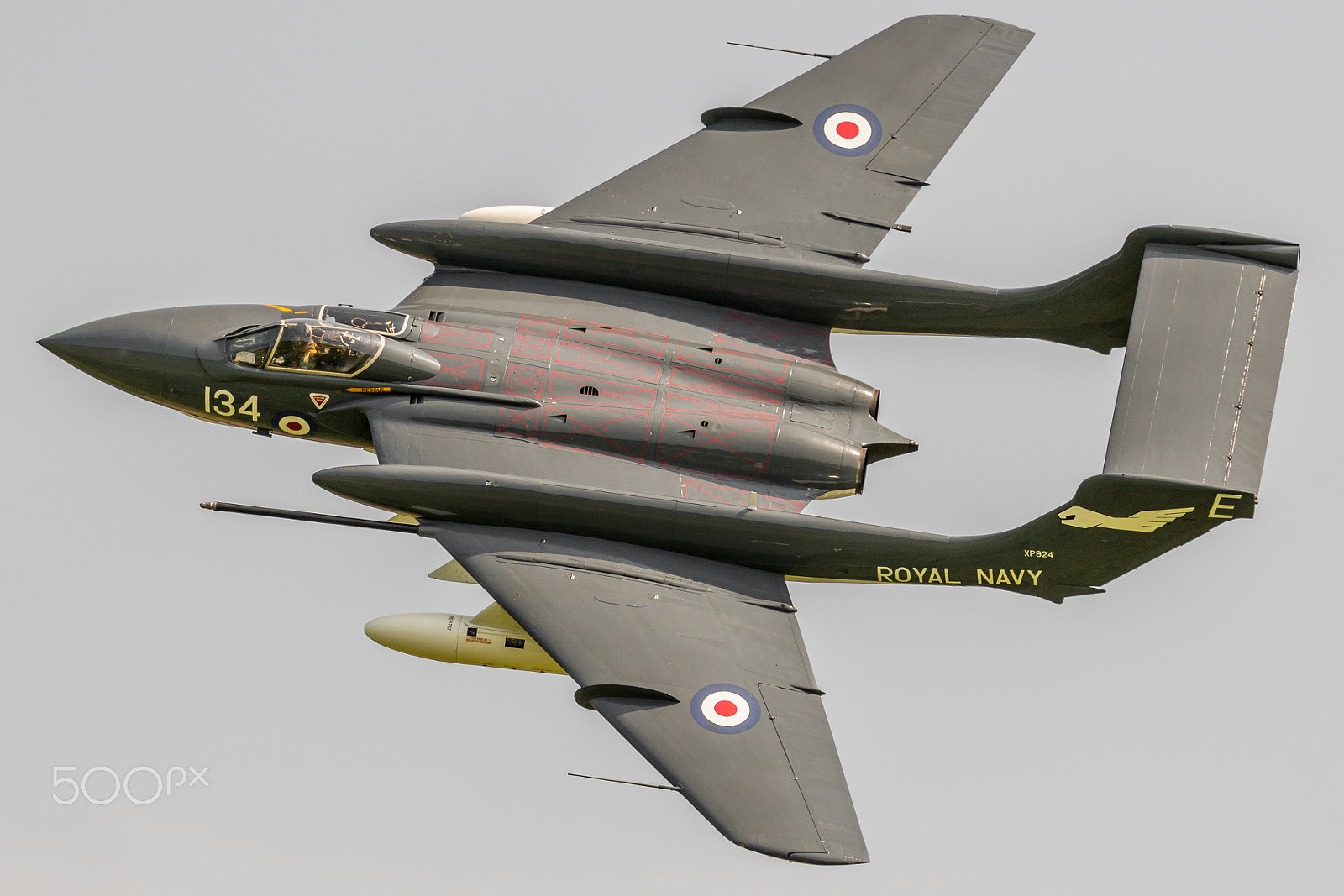 Canon EF 100-400mm F4.5-5.6L IS II USM sample photo. Sea vixen photography