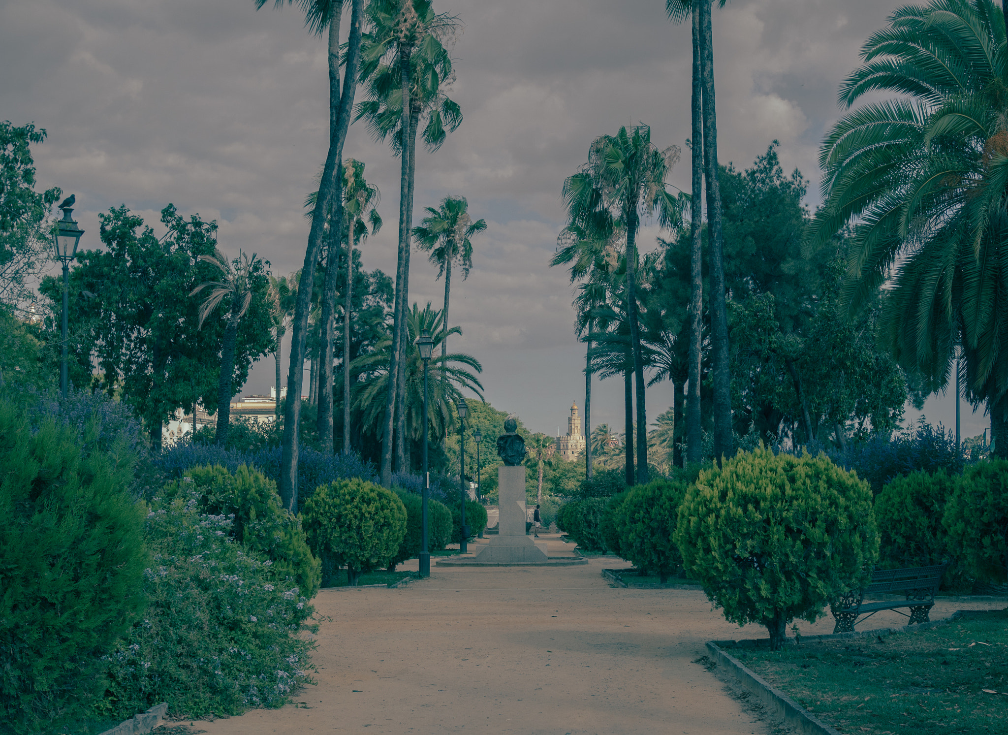 Olympus OM-D E-M10 + Olympus M.Zuiko Digital 25mm F1.8 sample photo. Stormy palms photography