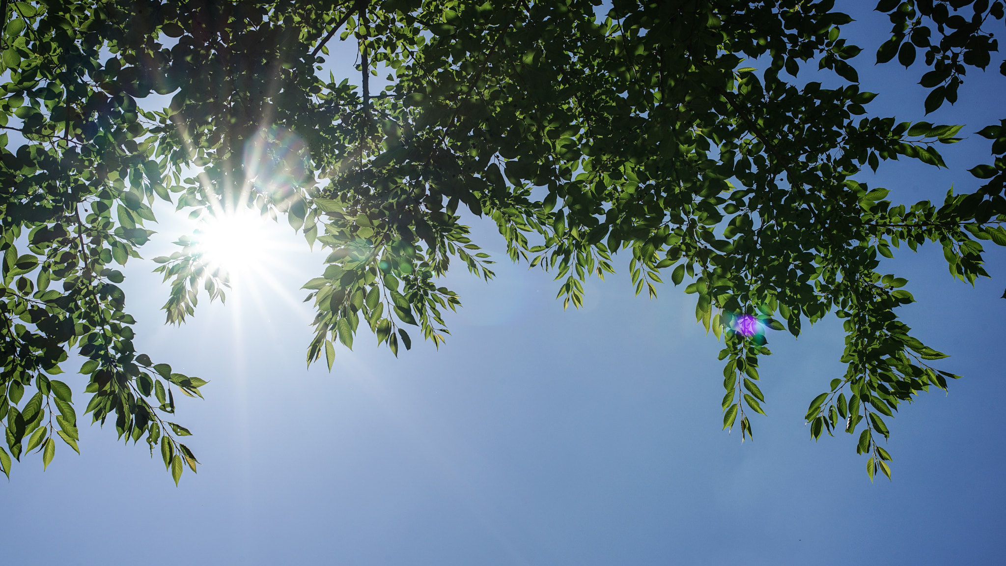 Sony a7 II + 35mm F1.4 sample photo. Sunny day photography