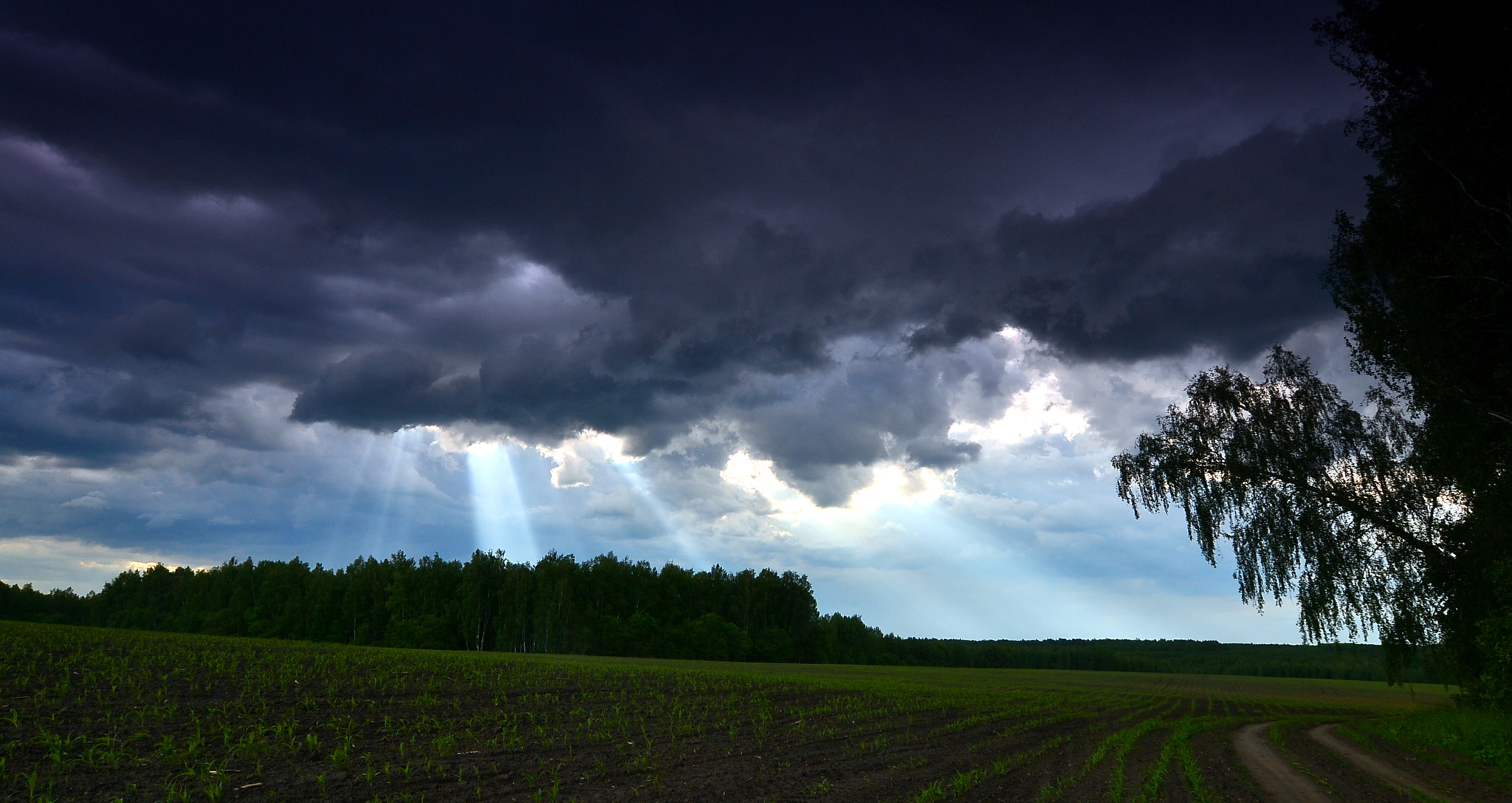 Nikon D3100 sample photo. Sun ray photography