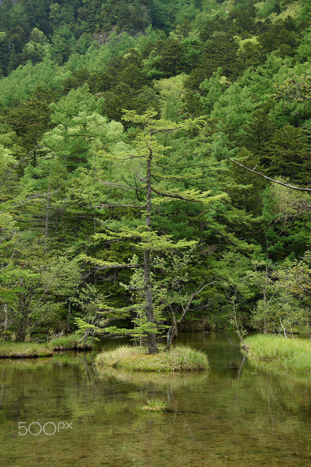Nikon Df sample photo. Tiny island photography