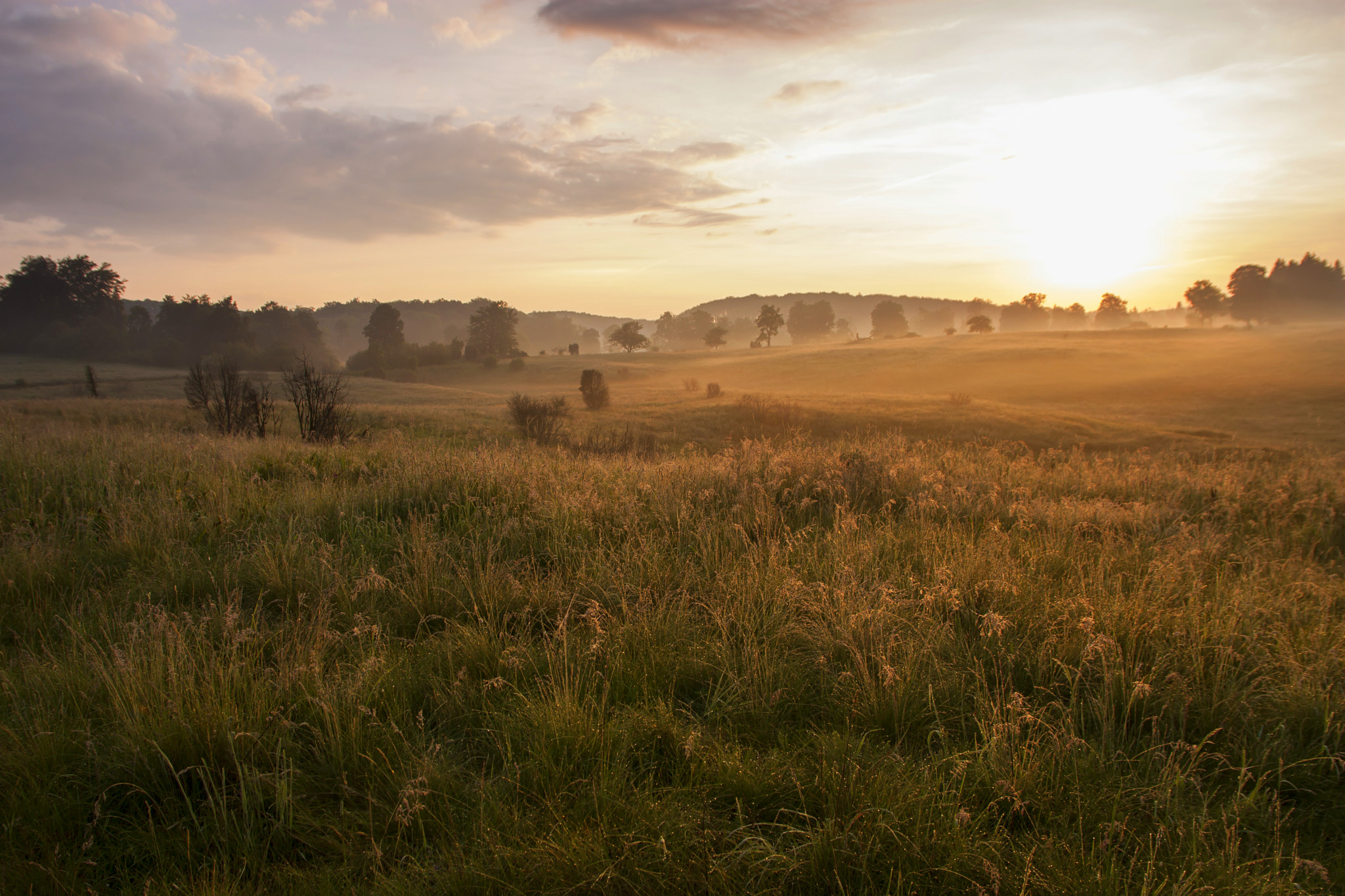 Sigma 17-70mm F2.8-4 DC Macro OS HSM sample photo. Sunrise photography