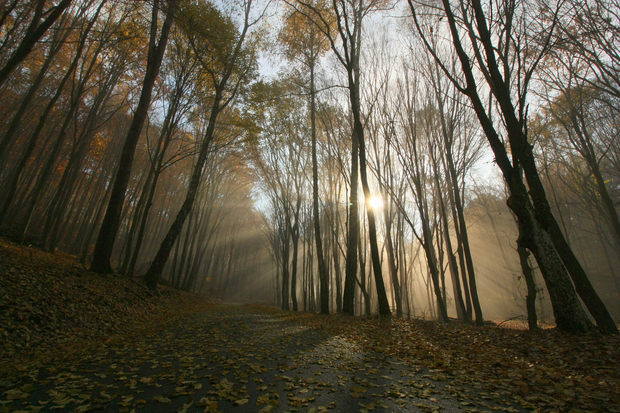 Canon EF-S 10-18mm F4.5–5.6 IS STM sample photo. Road photography