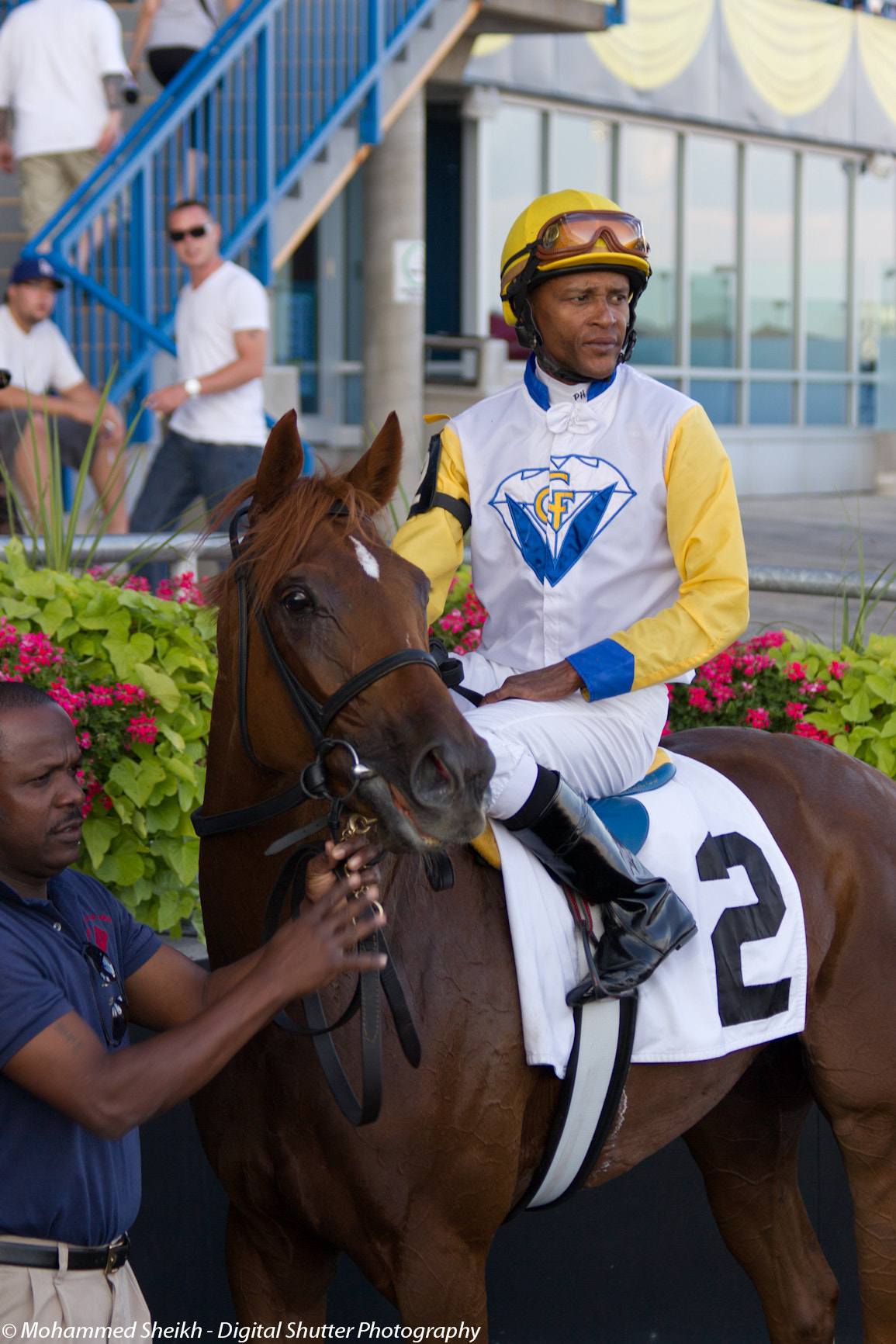 Canon EF 70-300mm F4-5.6 IS USM sample photo