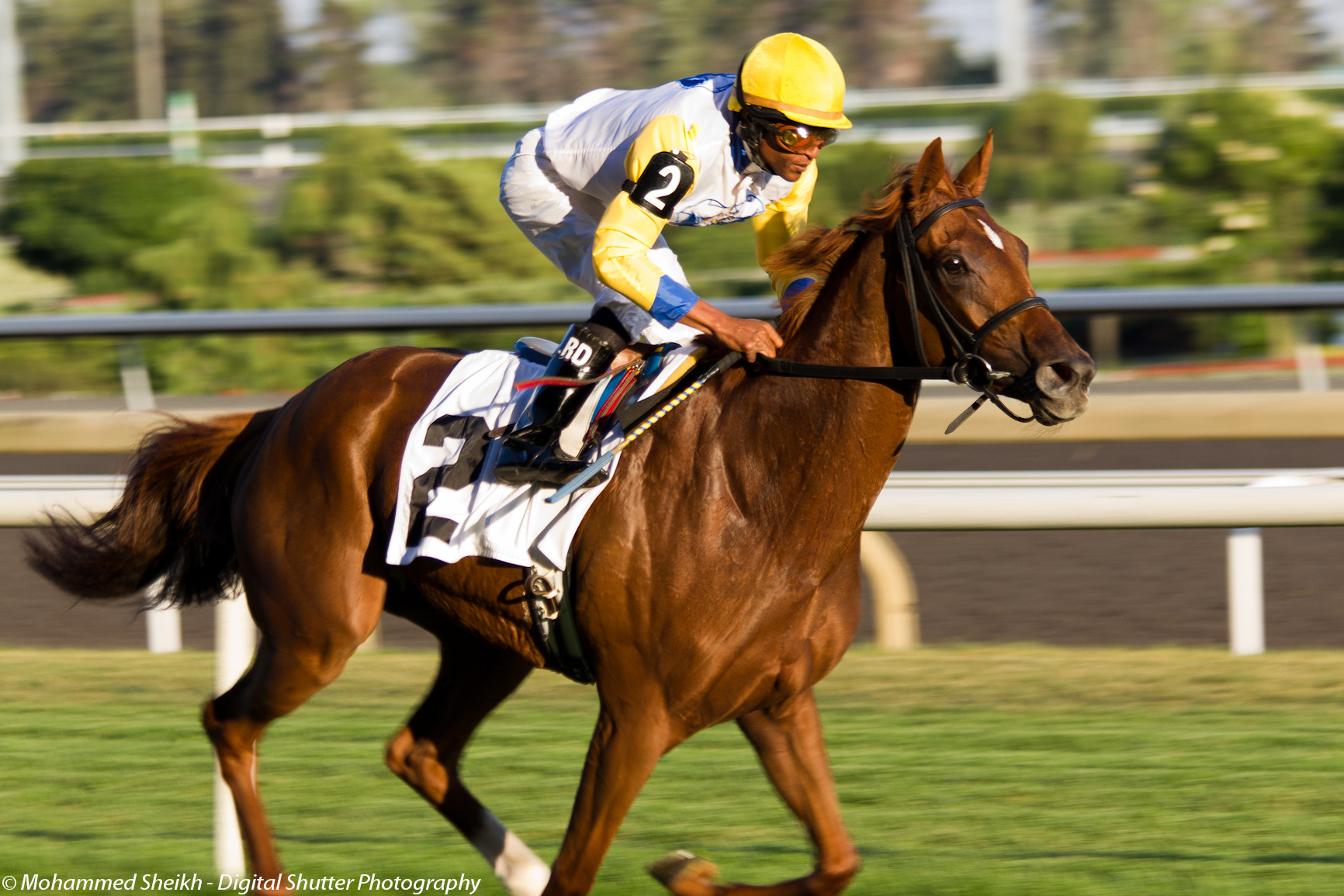 Canon EF 70-300mm F4-5.6 IS USM sample photo