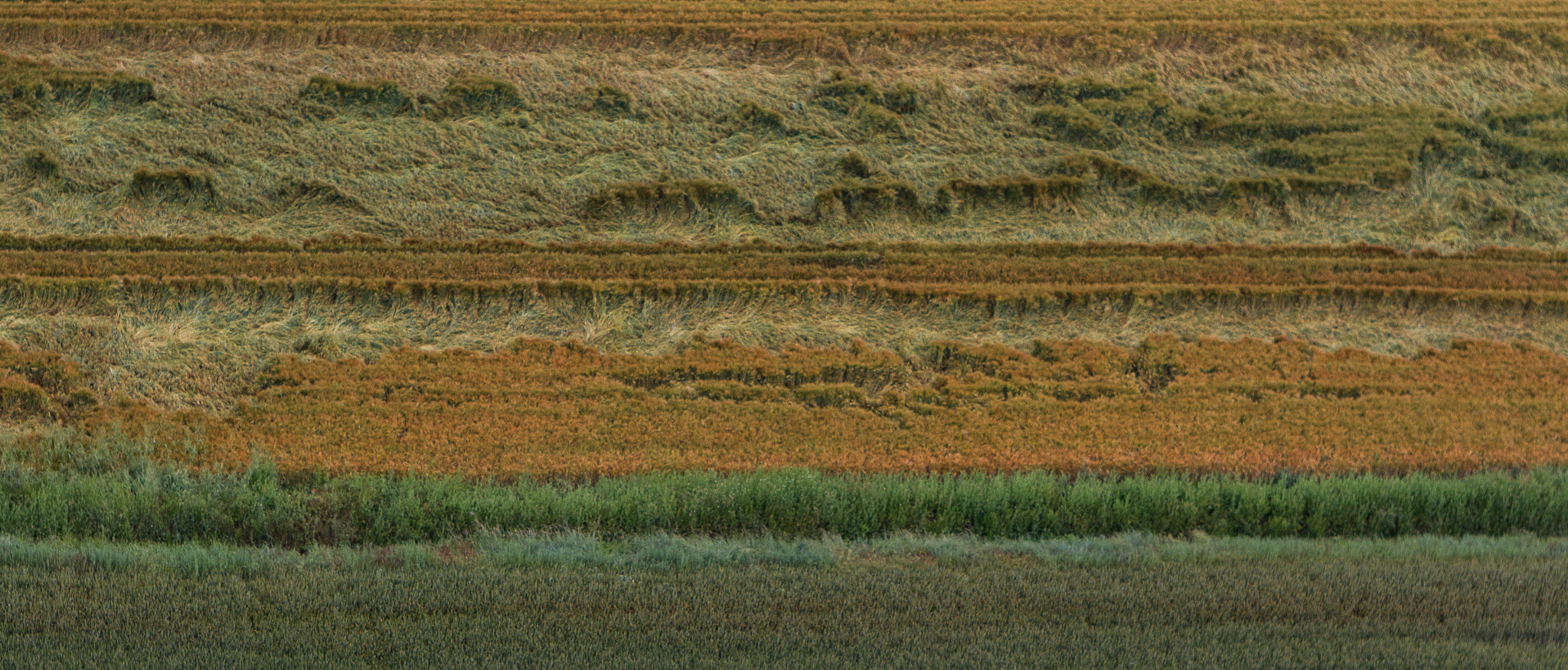 EF28-70mm f/2.8L USM sample photo. Strates photography
