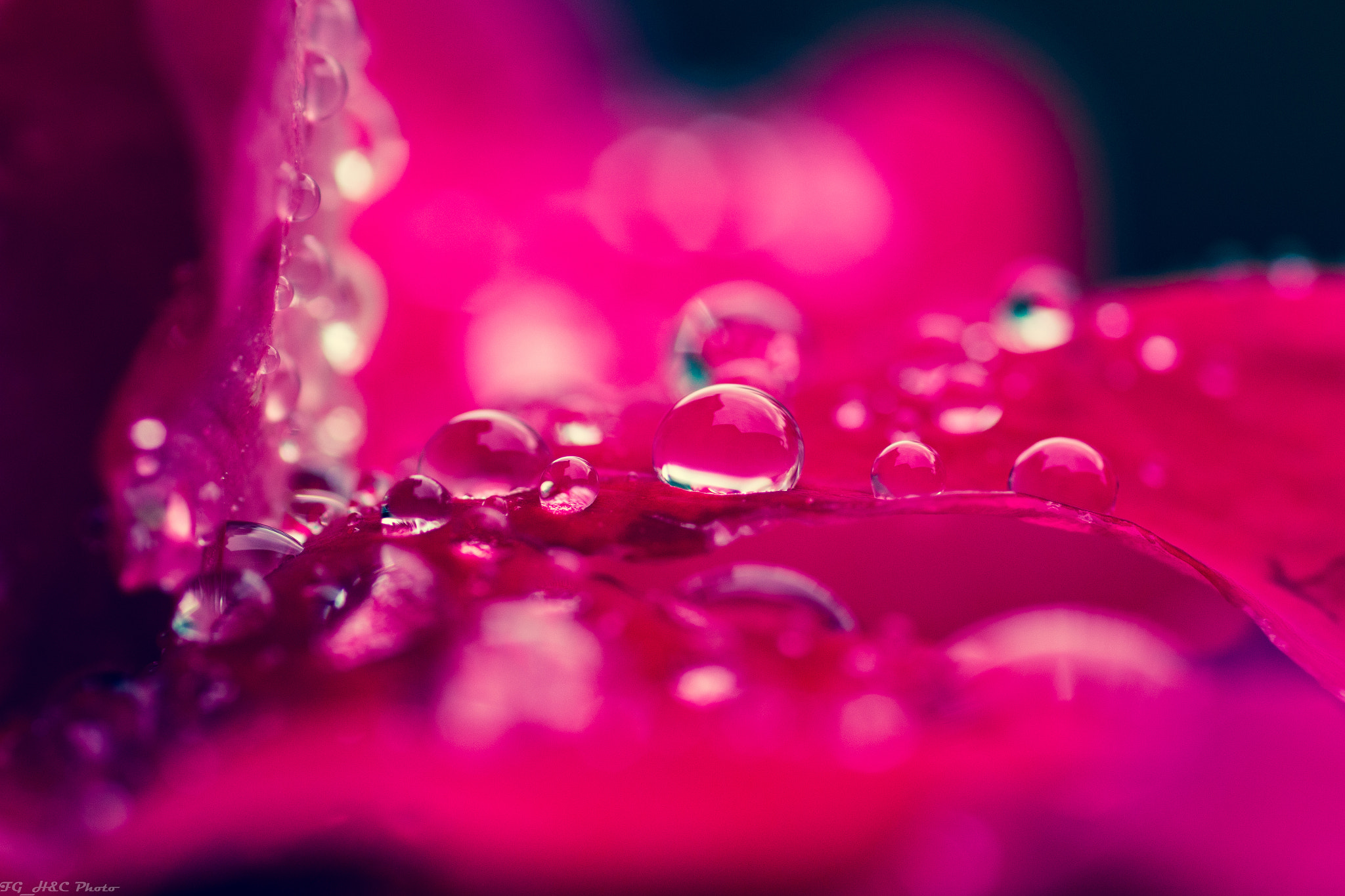 Canon EOS 70D + Canon EF 100mm F2.8 Macro USM sample photo. Raindrops photography