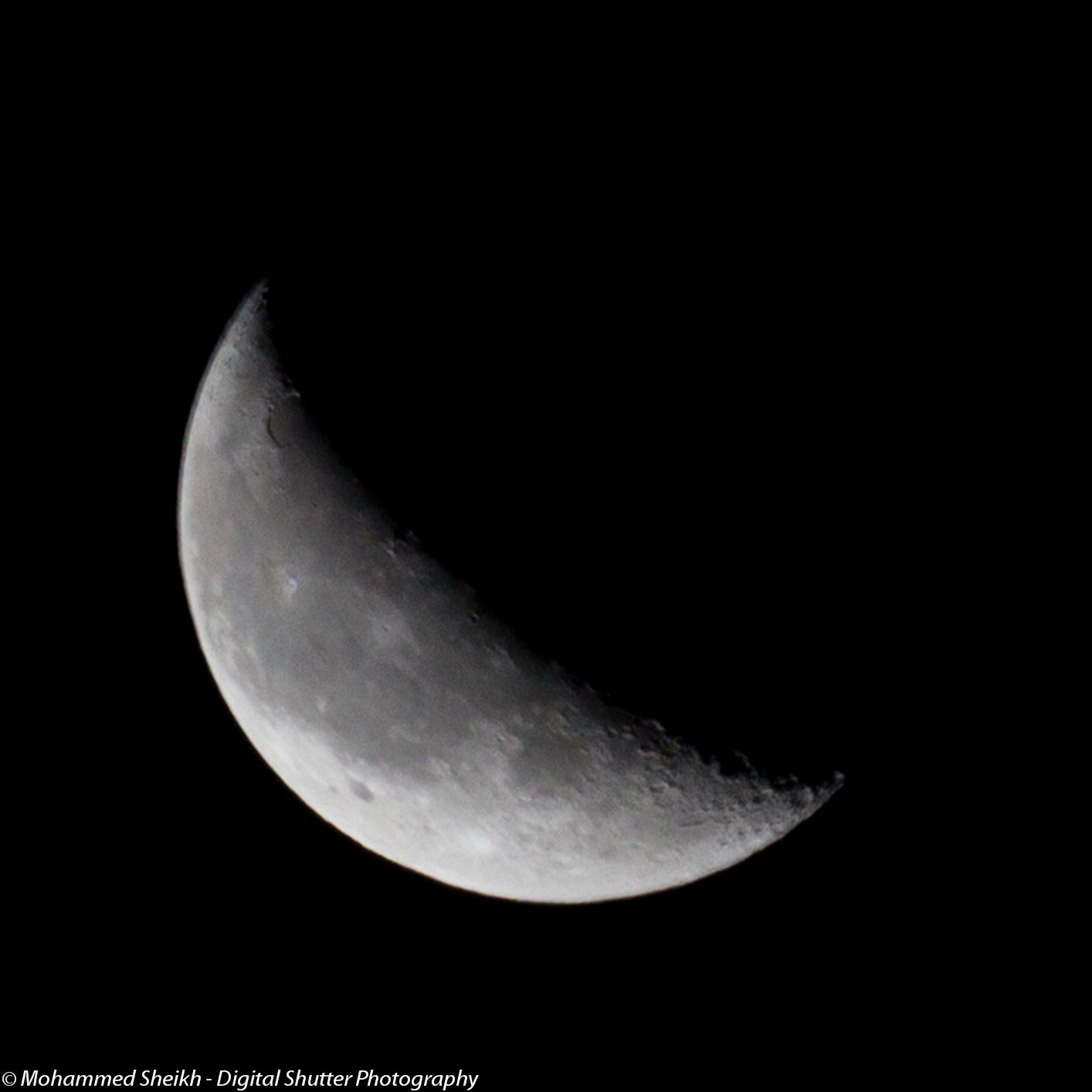 Canon EF 70-300mm F4-5.6 IS USM sample photo