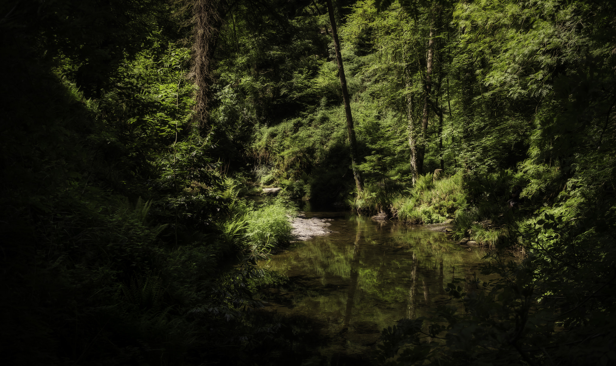 Panasonic Lumix DMC-GX1 sample photo. Wonderland photography