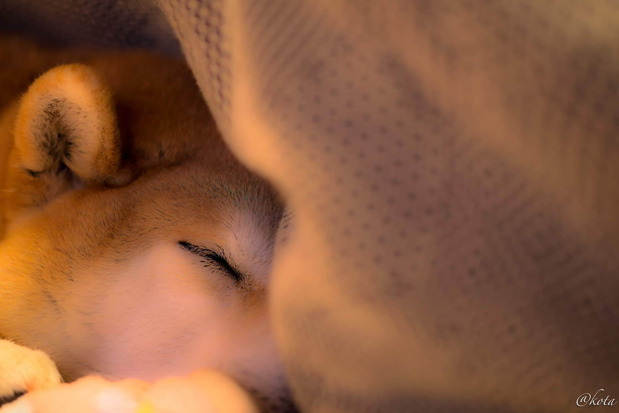 Panasonic Leica DG Nocticron 42.5mm F1.2 ASPH OIS sample photo. Untitled photography