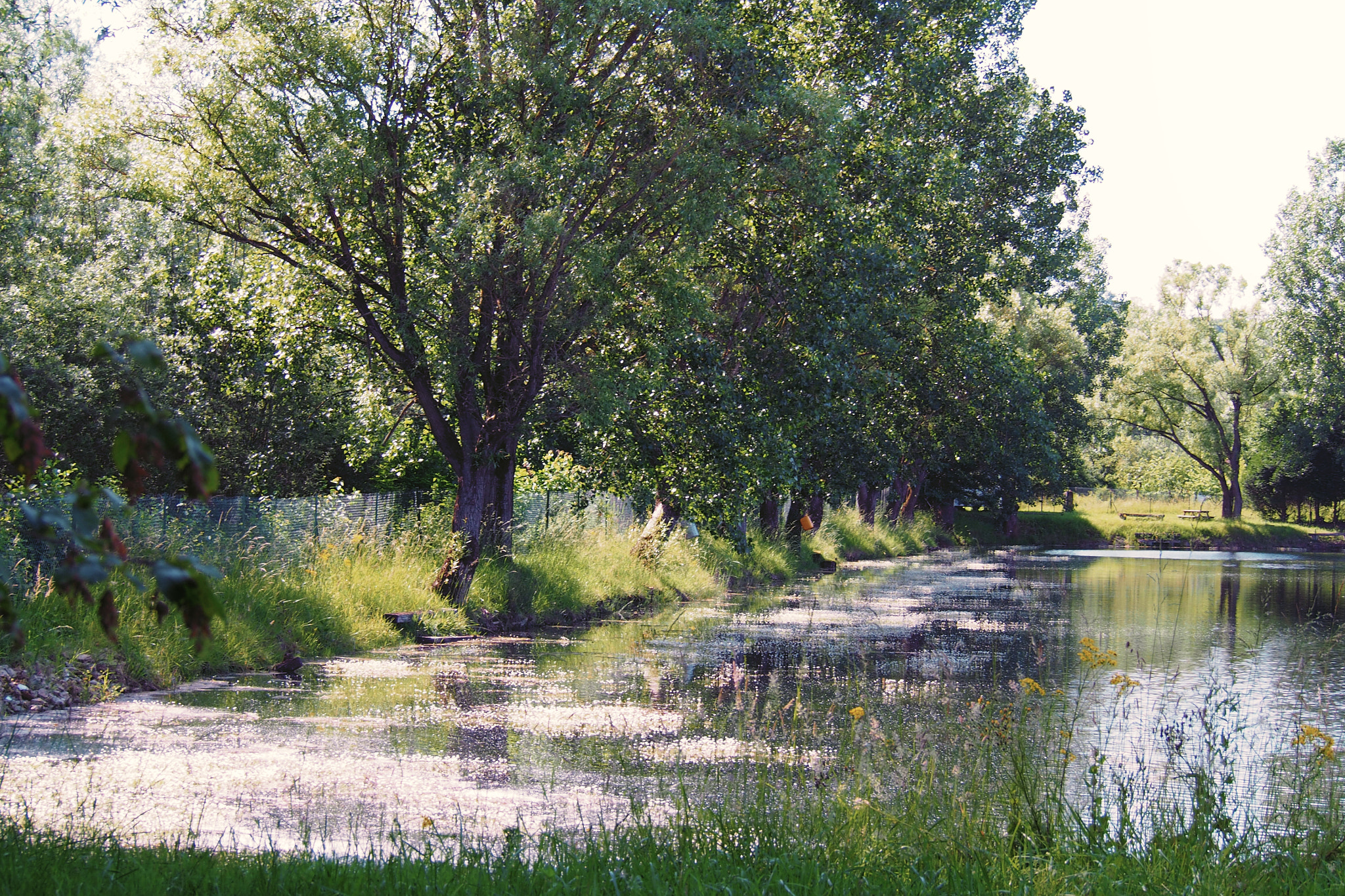 Olympus PEN E-PL5 sample photo. Pond photography