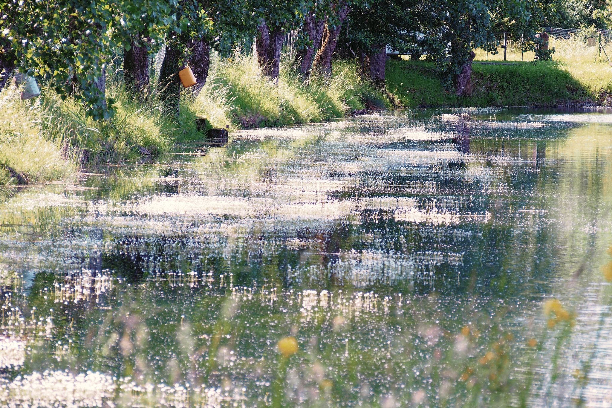Olympus PEN E-PL5 sample photo. Reflexions photography
