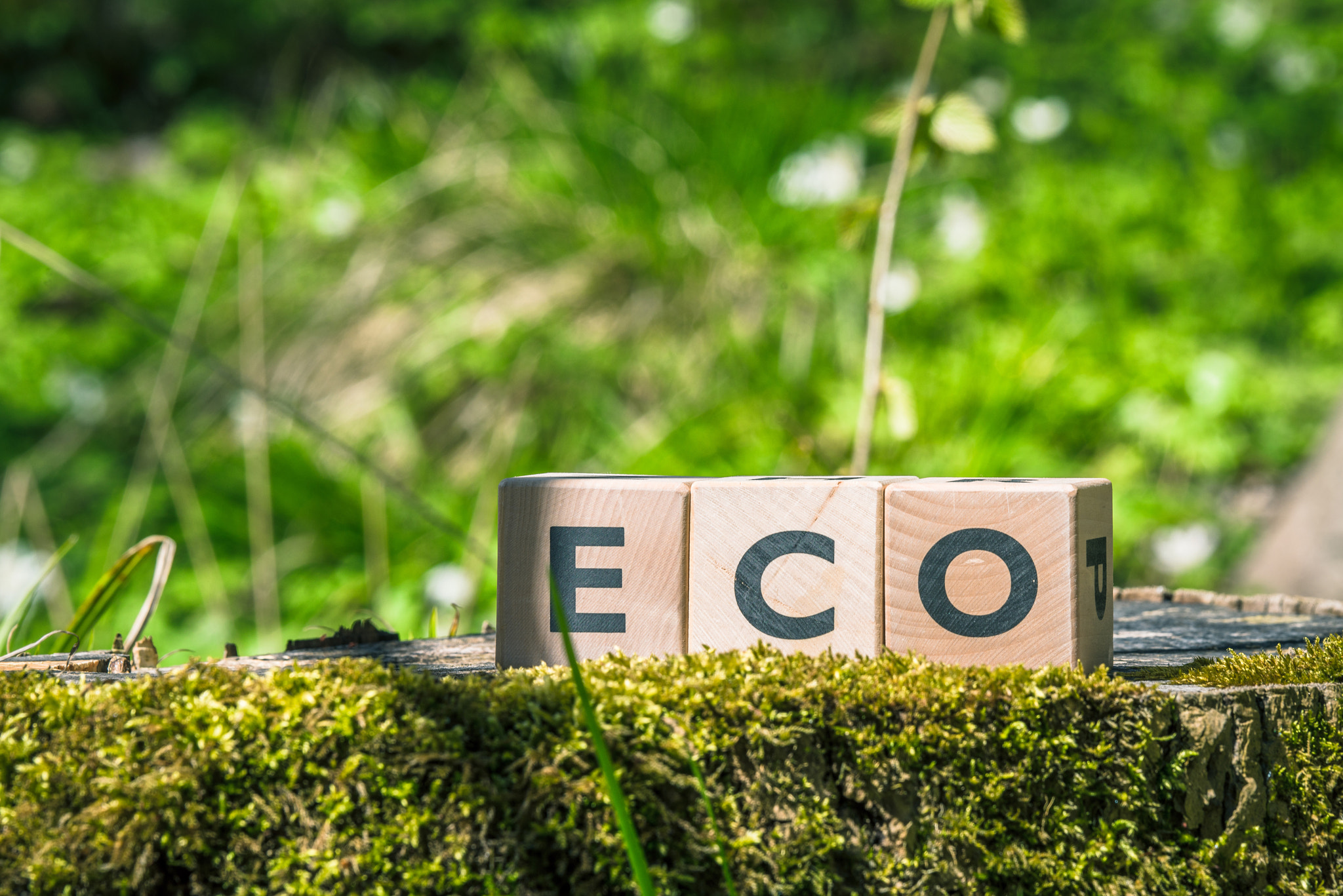 Sony 70-400mm F4-5.6 G SSM II sample photo. Eco sign in a green forest photography