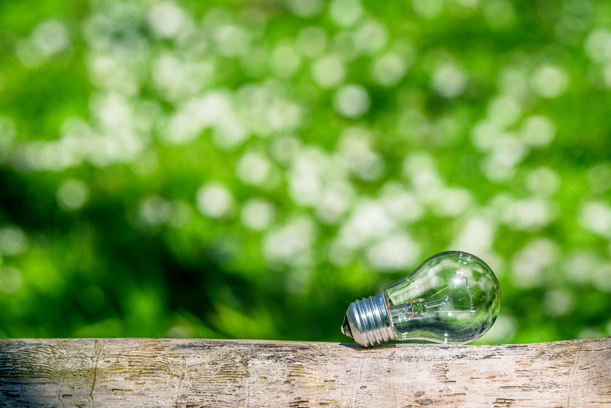 Sony 70-400mm F4-5.6 G SSM II sample photo. Lightbulb in green nature photography