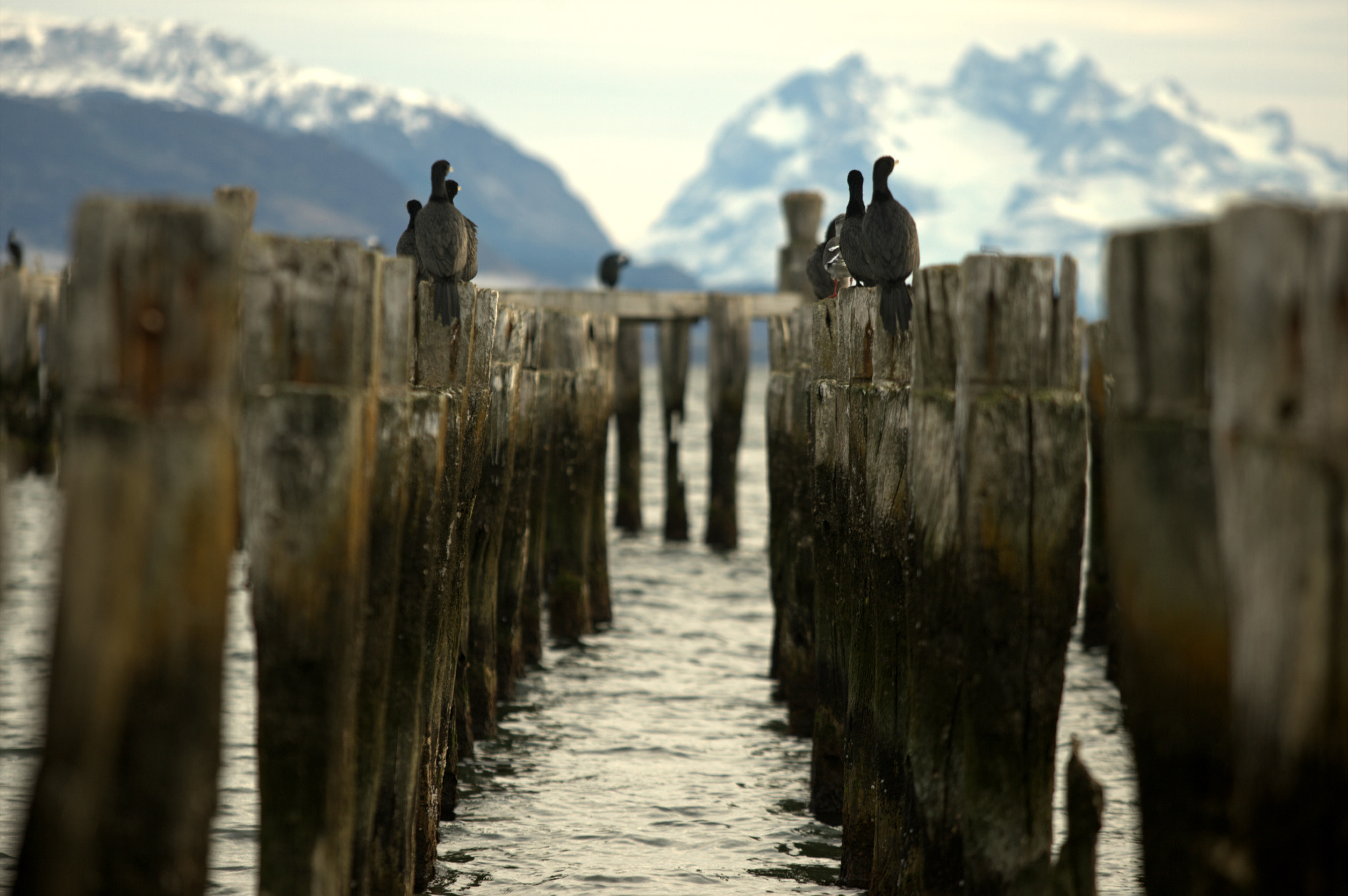 Canon EF 70-200mm F2.8L USM sample photo. Muelle braun photography