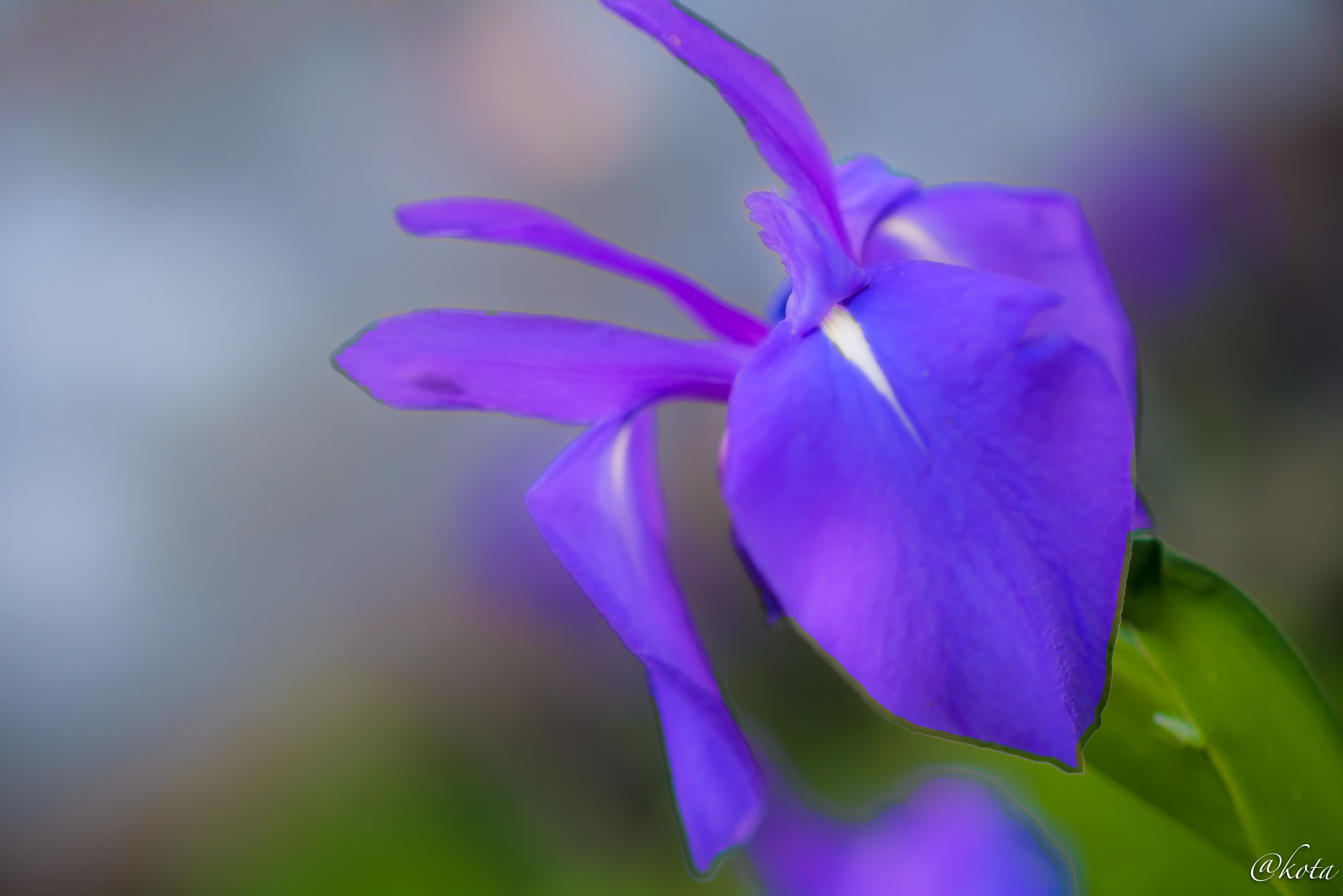 Panasonic Leica DG Nocticron 42.5mm F1.2 ASPH OIS sample photo. Untitled photography