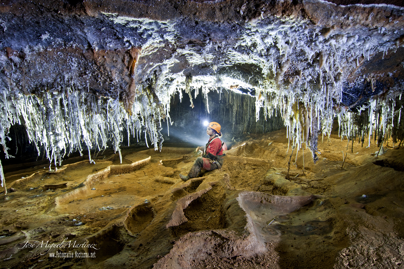 Tokina AT-X Pro 12-24mm F4 (IF) DX sample photo. El bosque de cristal photography