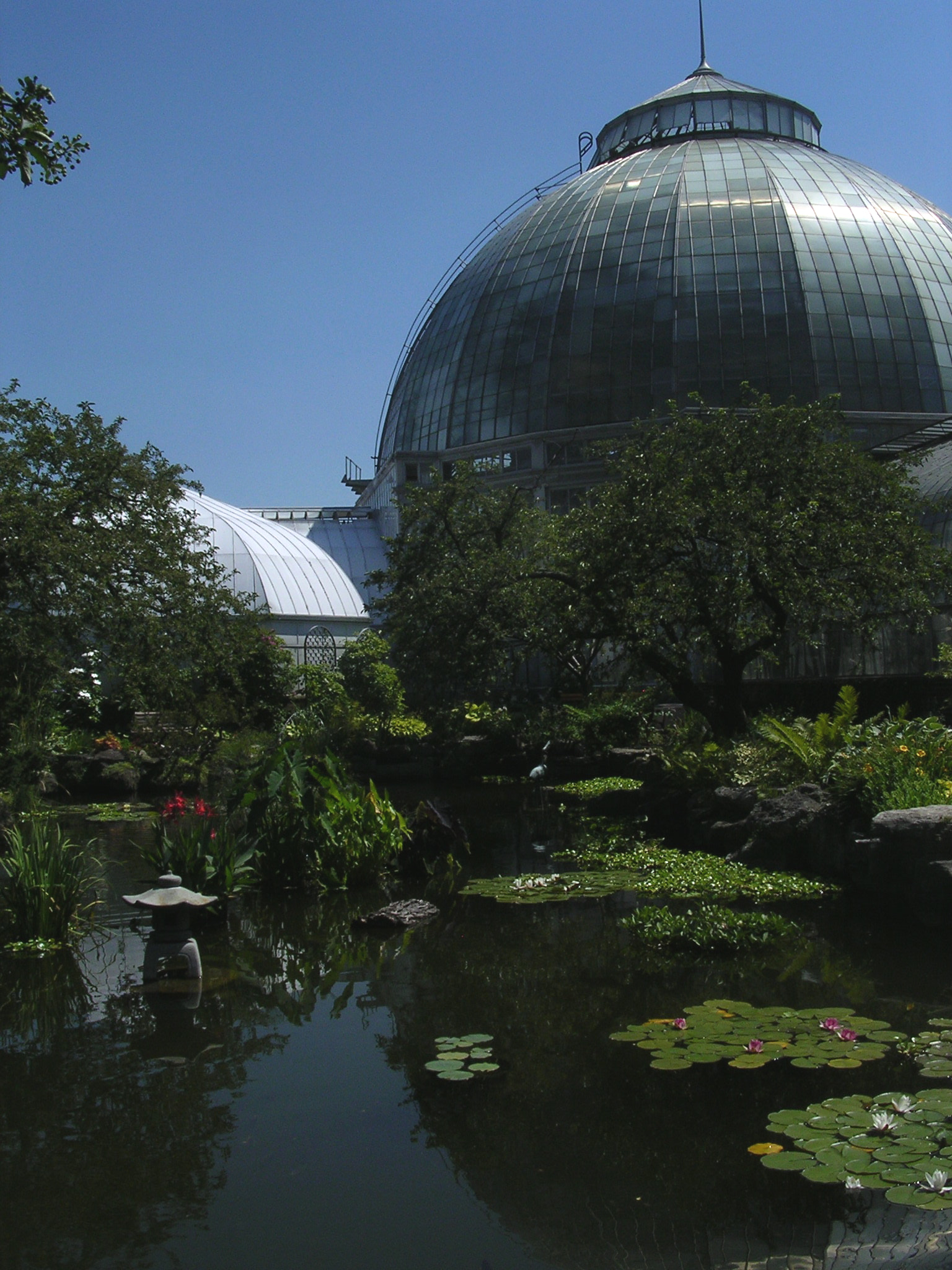 Nikon E3100 sample photo. Belle isle conservatory photography